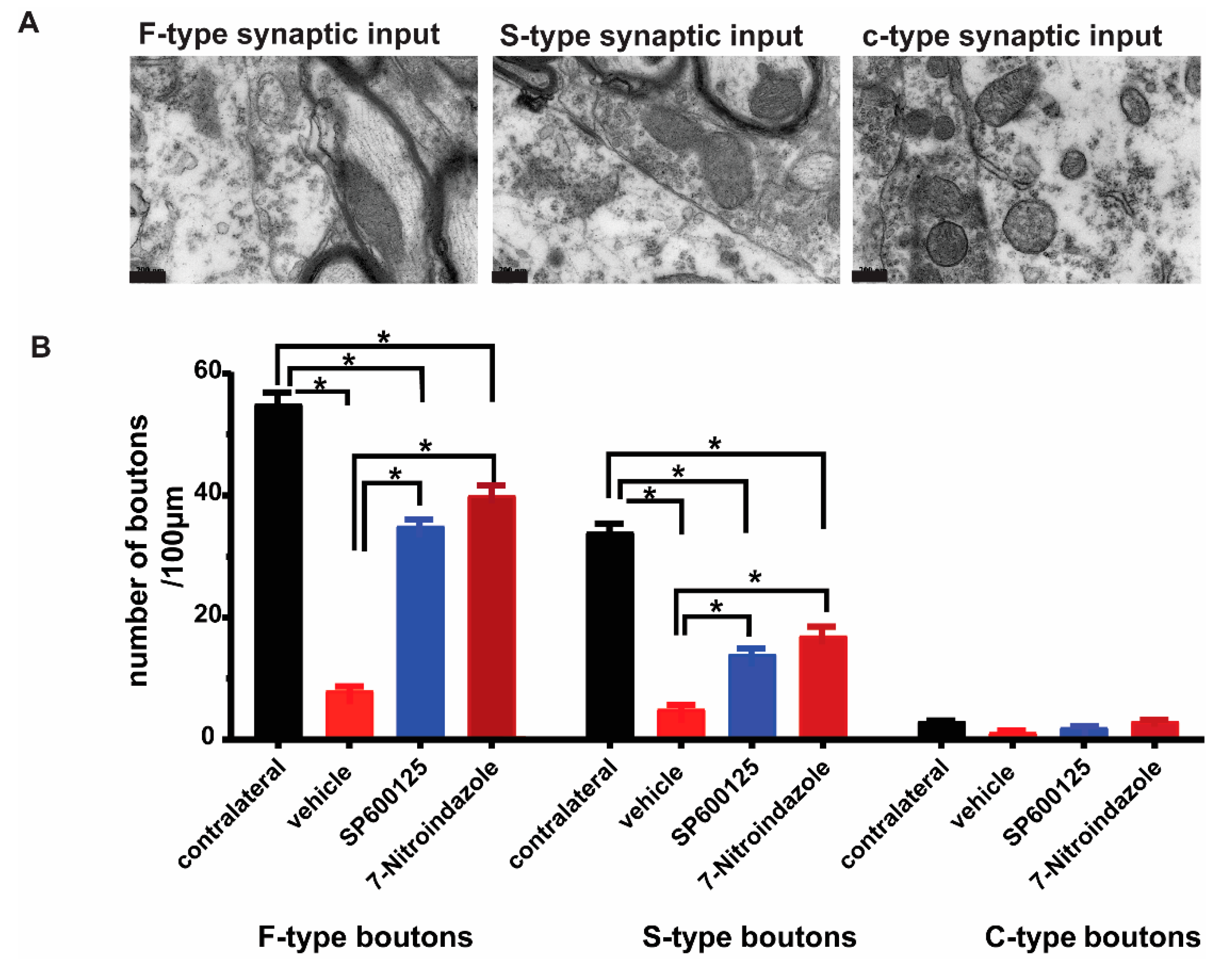 Cells 10 01614 g005a