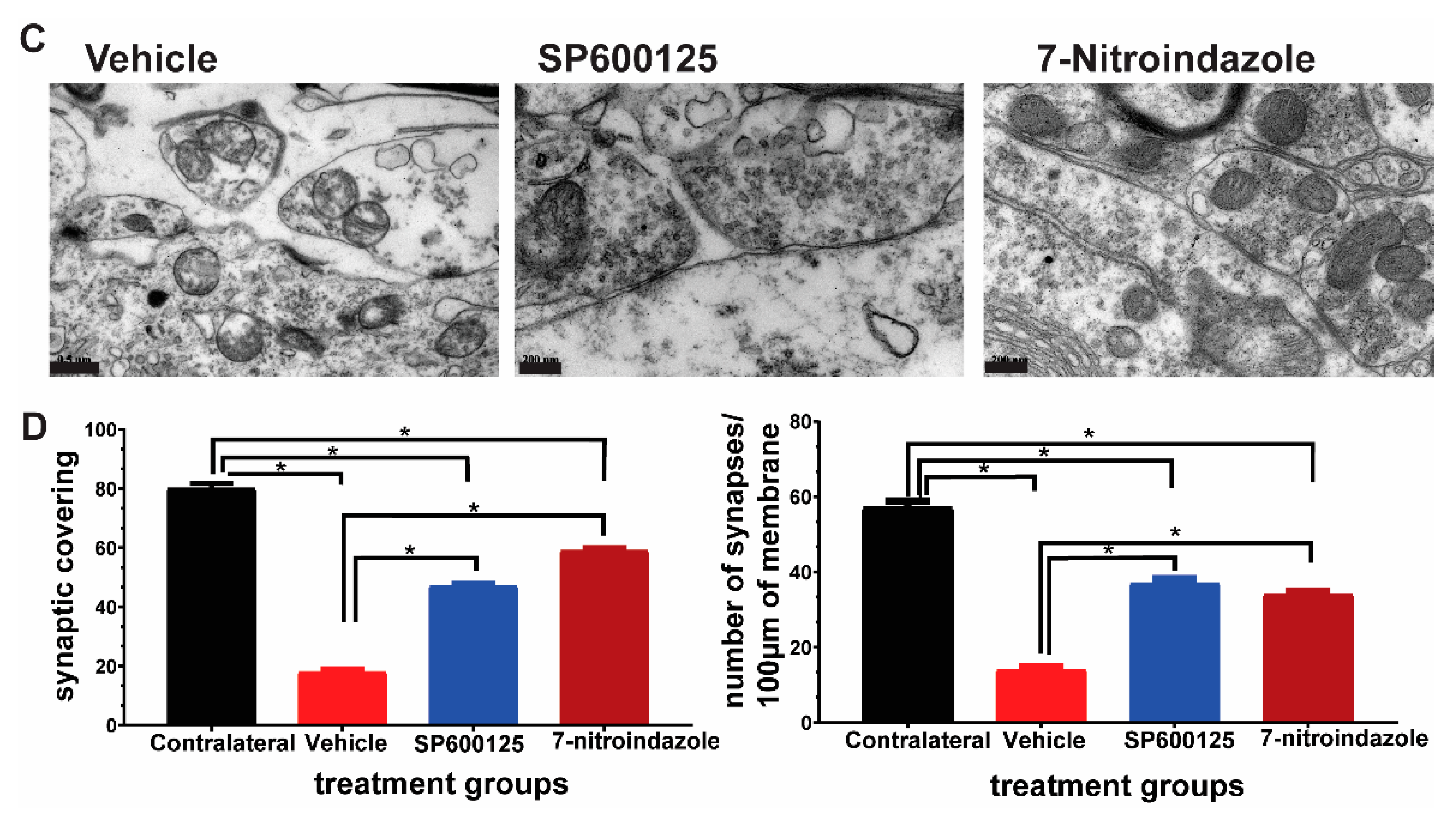 Cells 10 01614 g005b