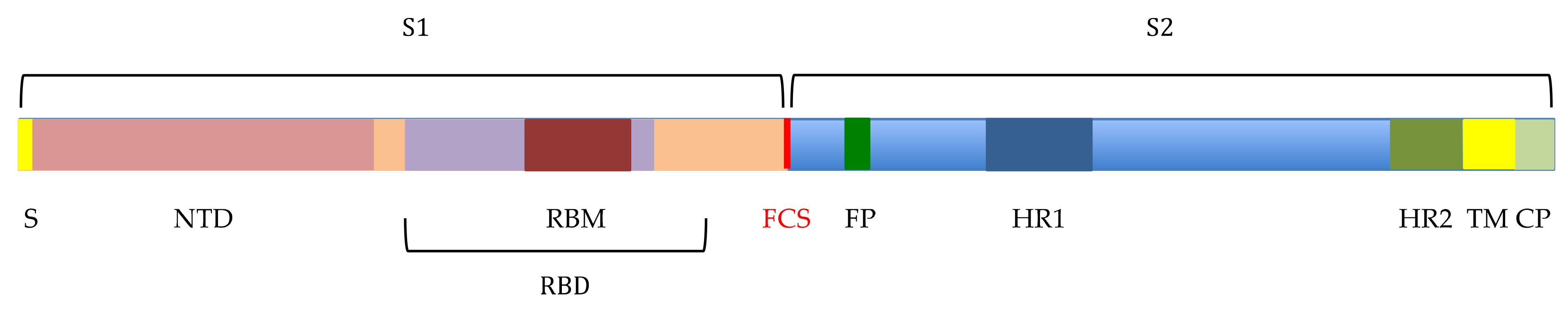Cells 10 01619 g001
