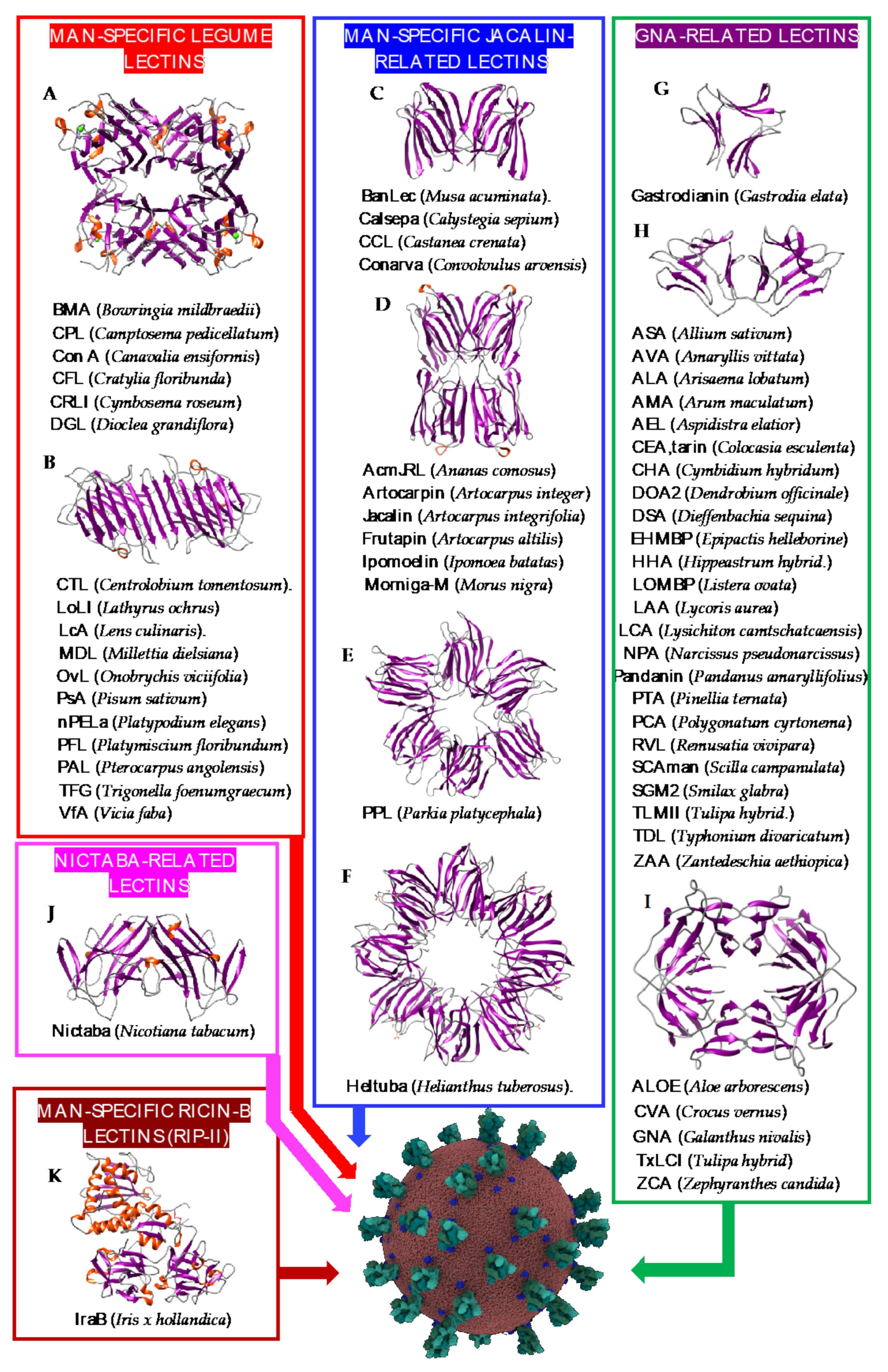 Cells 10 01619 g002