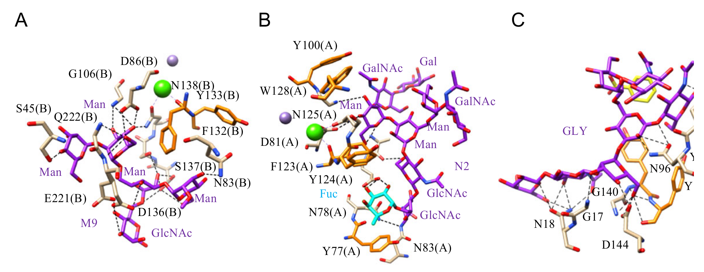 Cells 10 01619 g005
