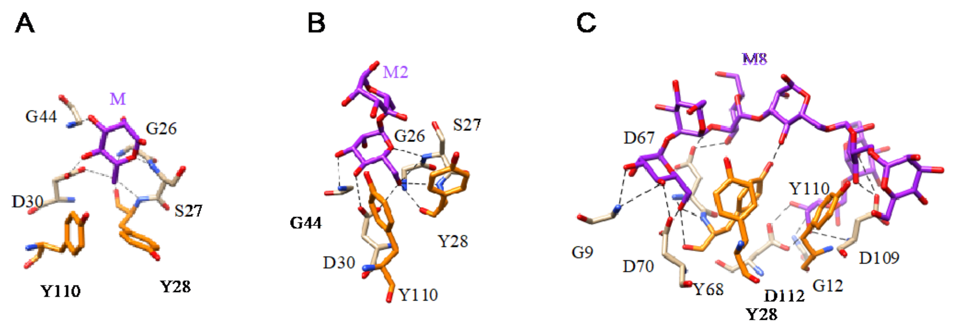 Cells 10 01619 g019
