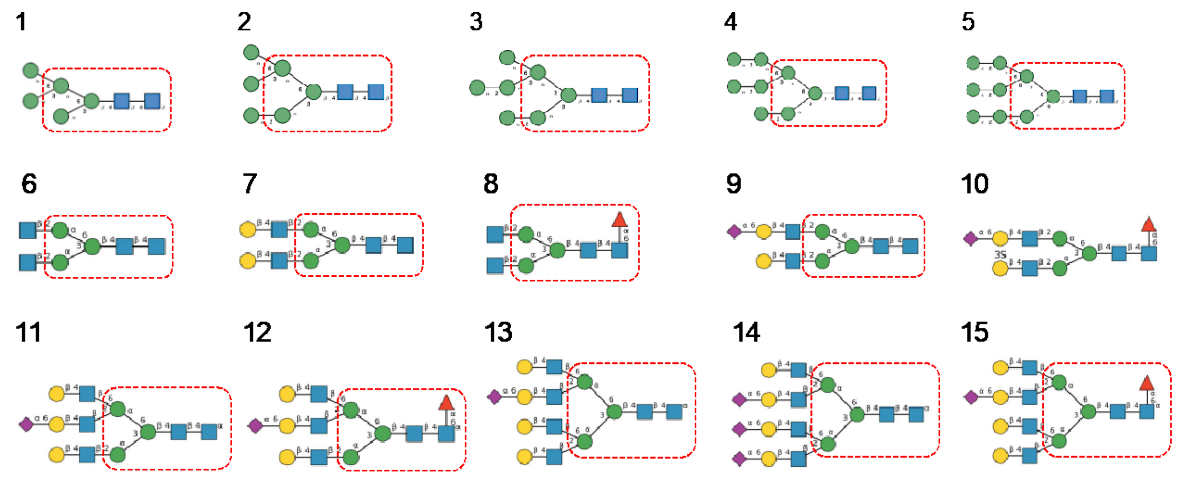 Cells 10 01619 g025
