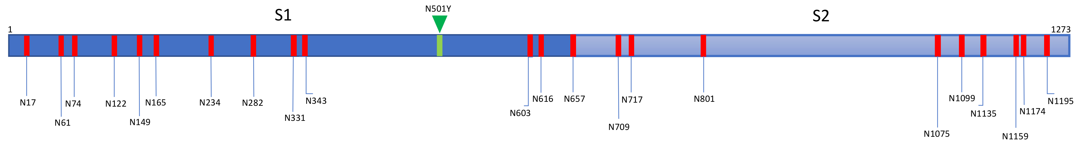 Cells 10 01619 g030