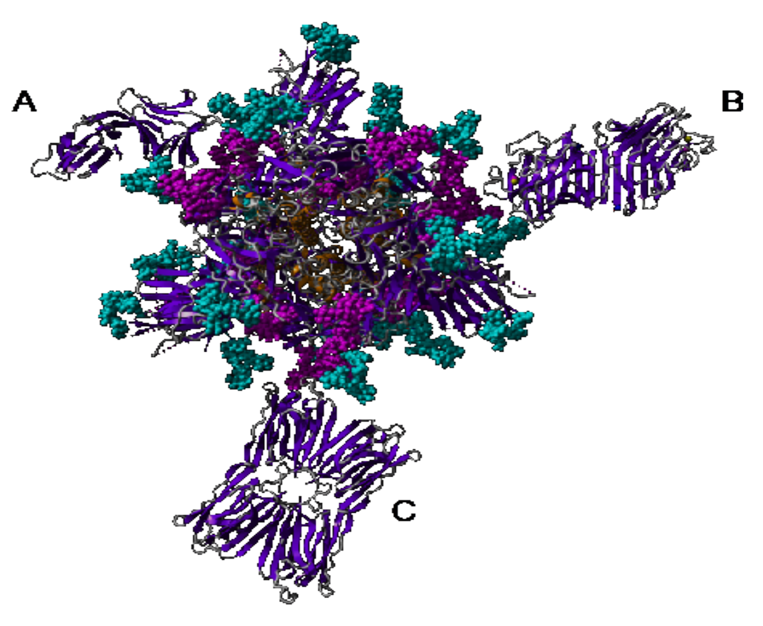 Cells 10 01619 g037