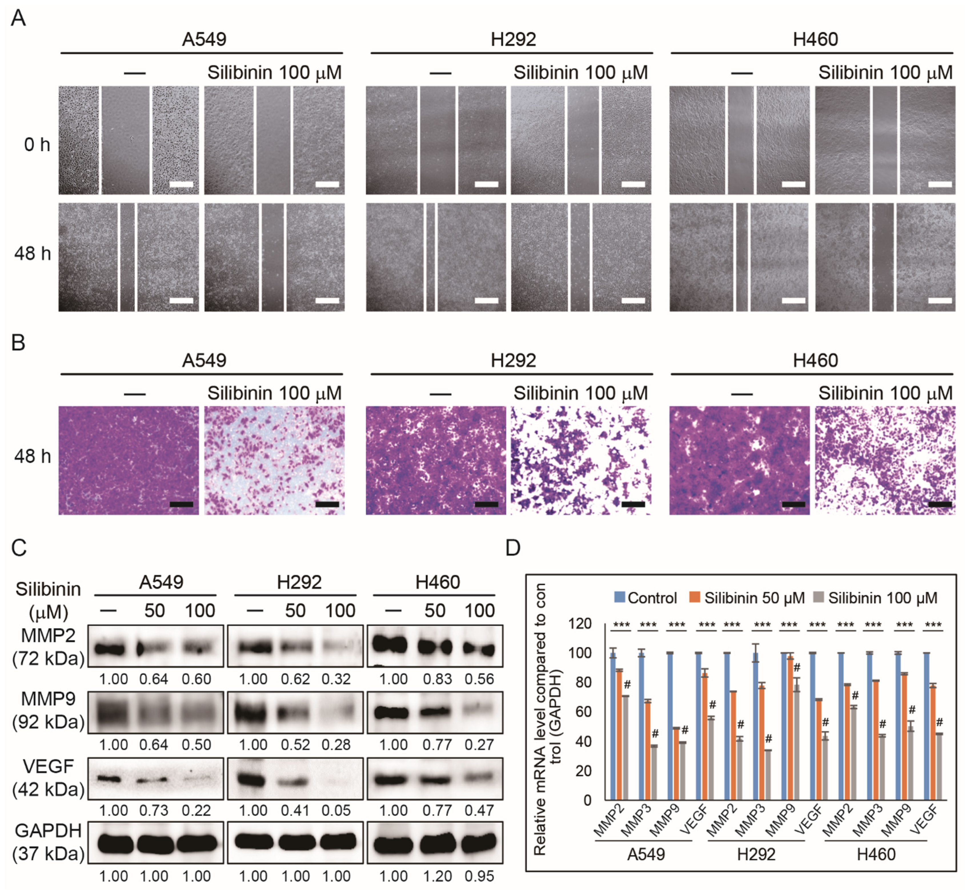 Cells 10 01632 g003 Cells 10 01632 g003