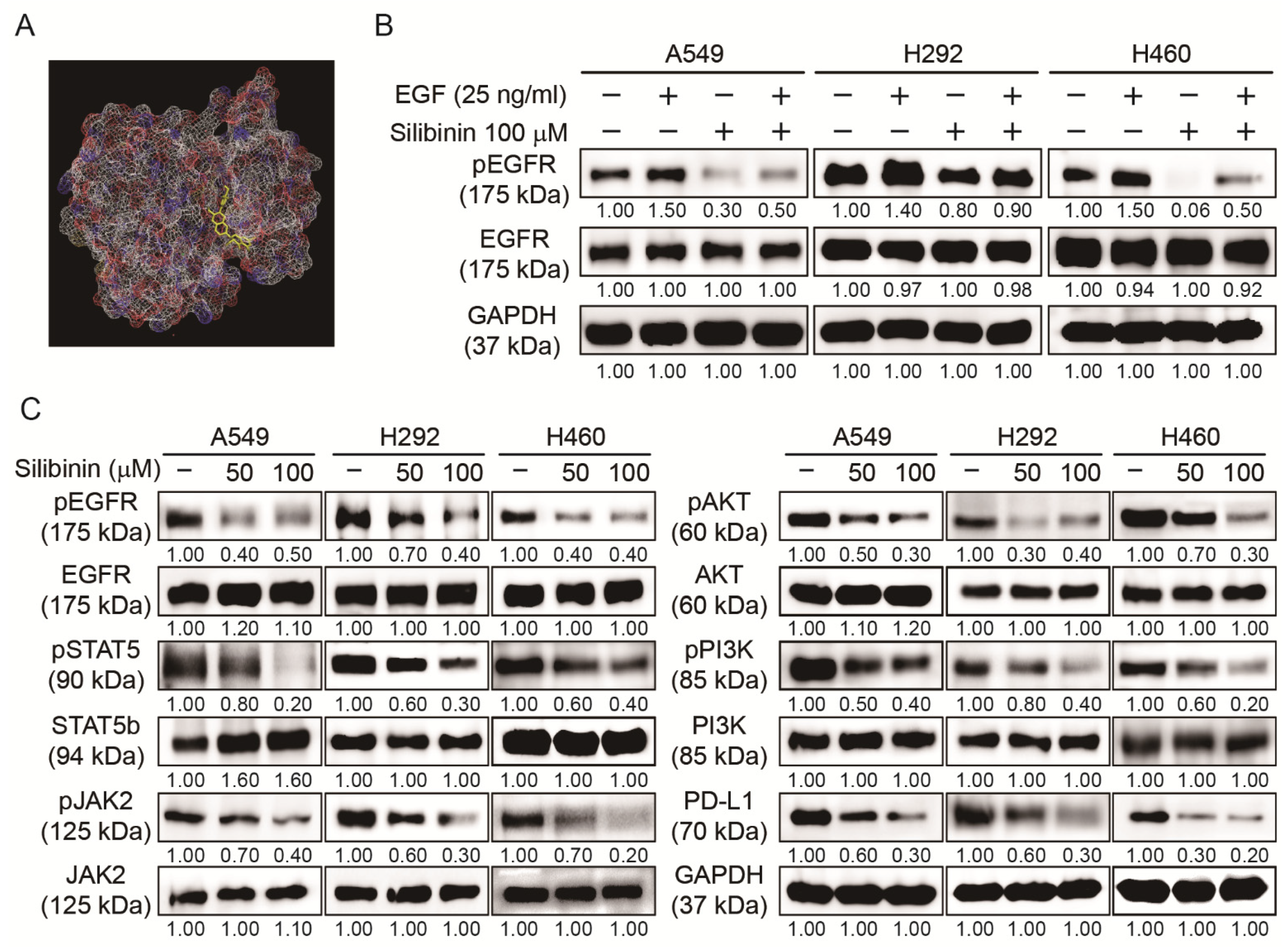 Cells 10 01632 g005 Cells 10 01632 g005