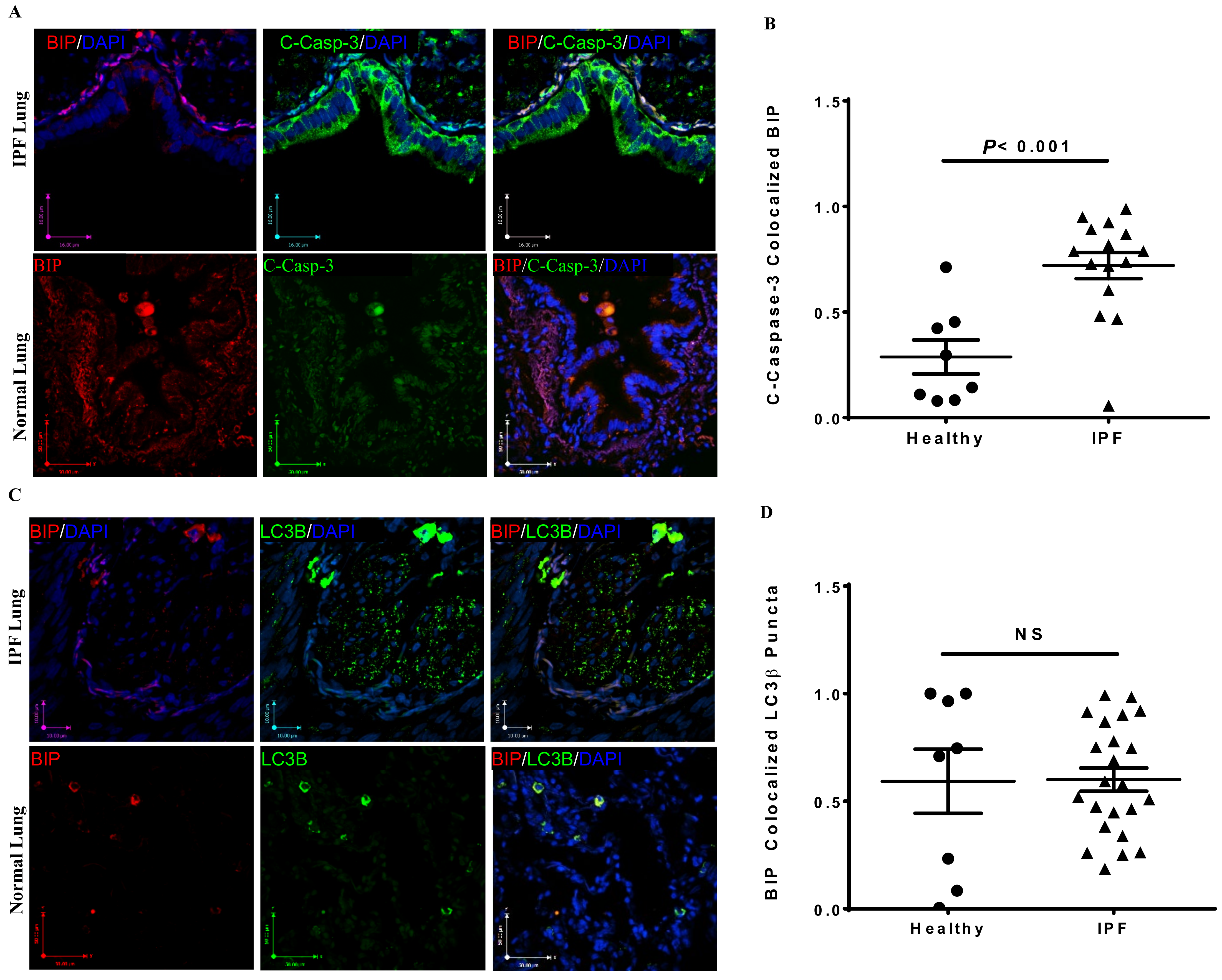 Cells 10 01642 g001a Cells 10 01642 g001a