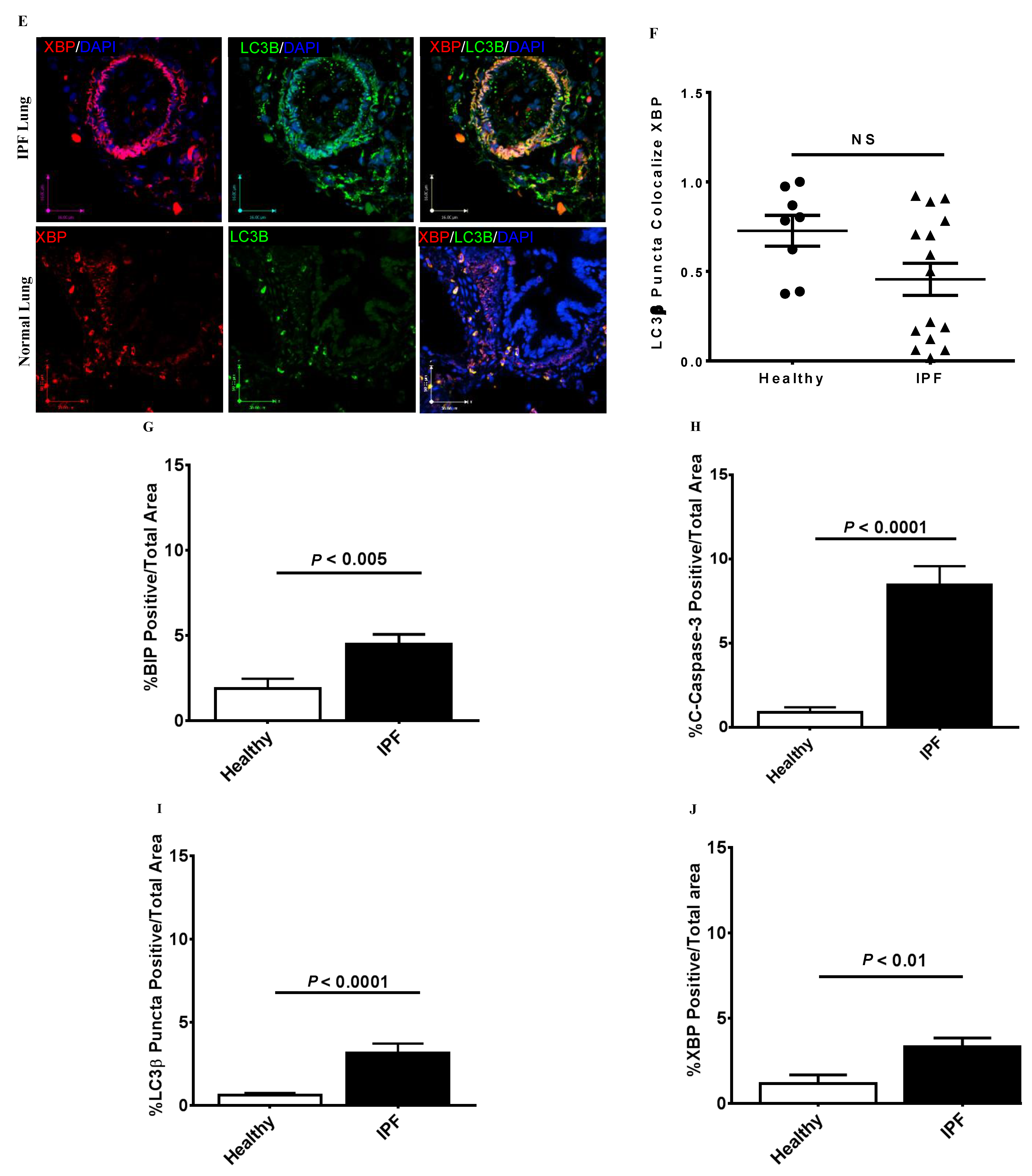 Cells 10 01642 g001b Cells 10 01642 g001b
