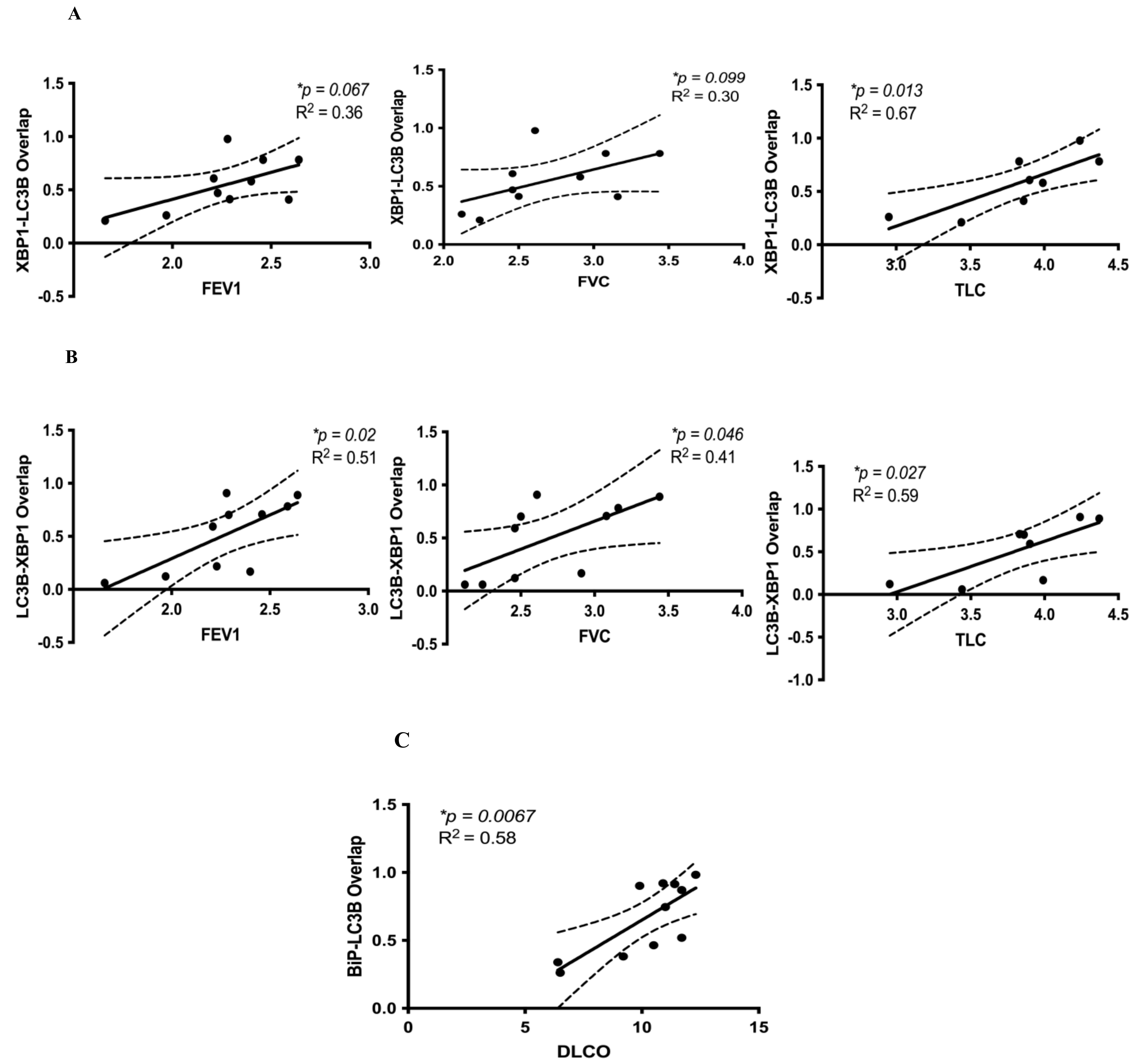 Cells 10 01642 g003 Cells 10 01642 g003