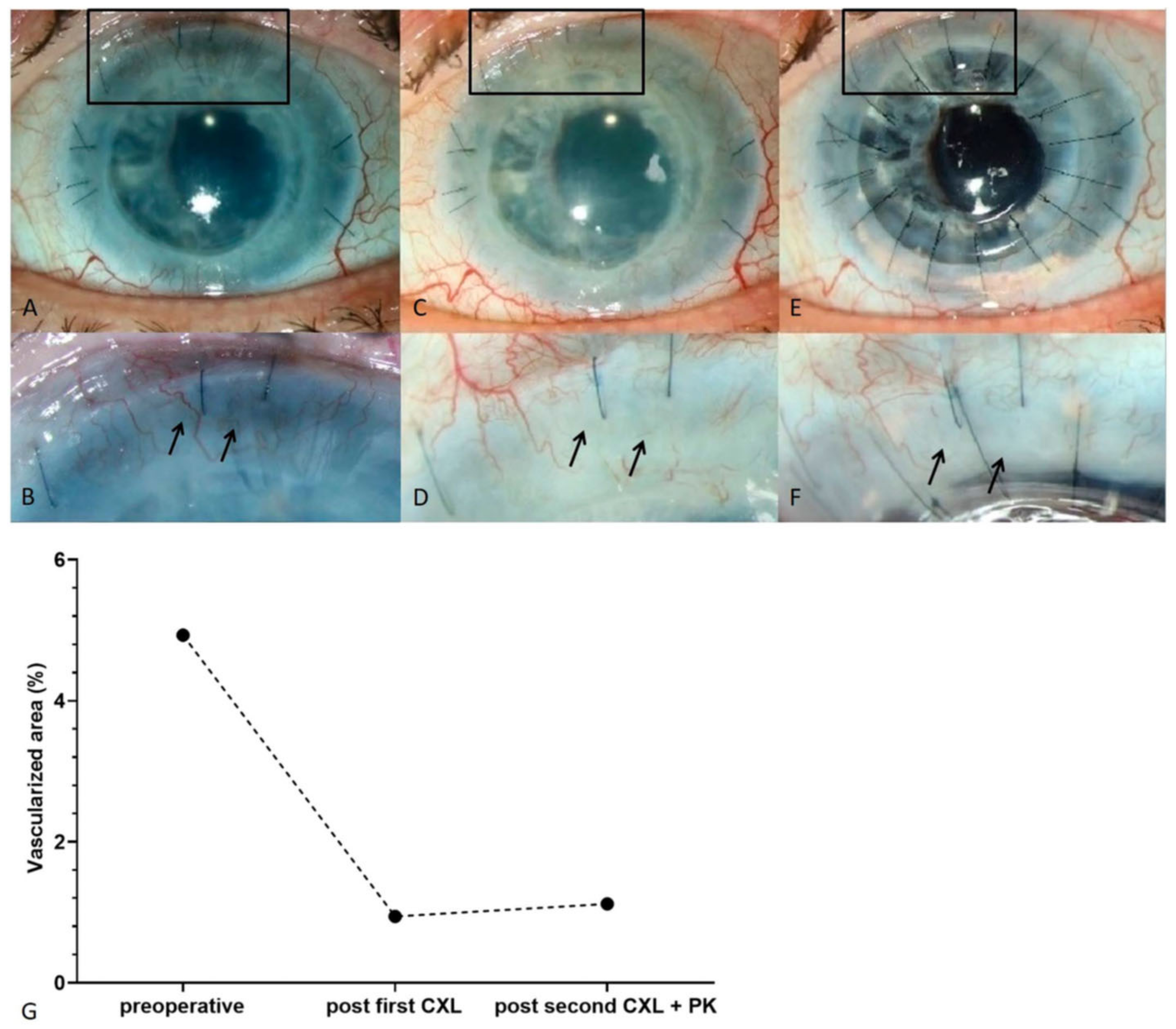 Cells 10 01661 g009 Cells 10 01661 g009