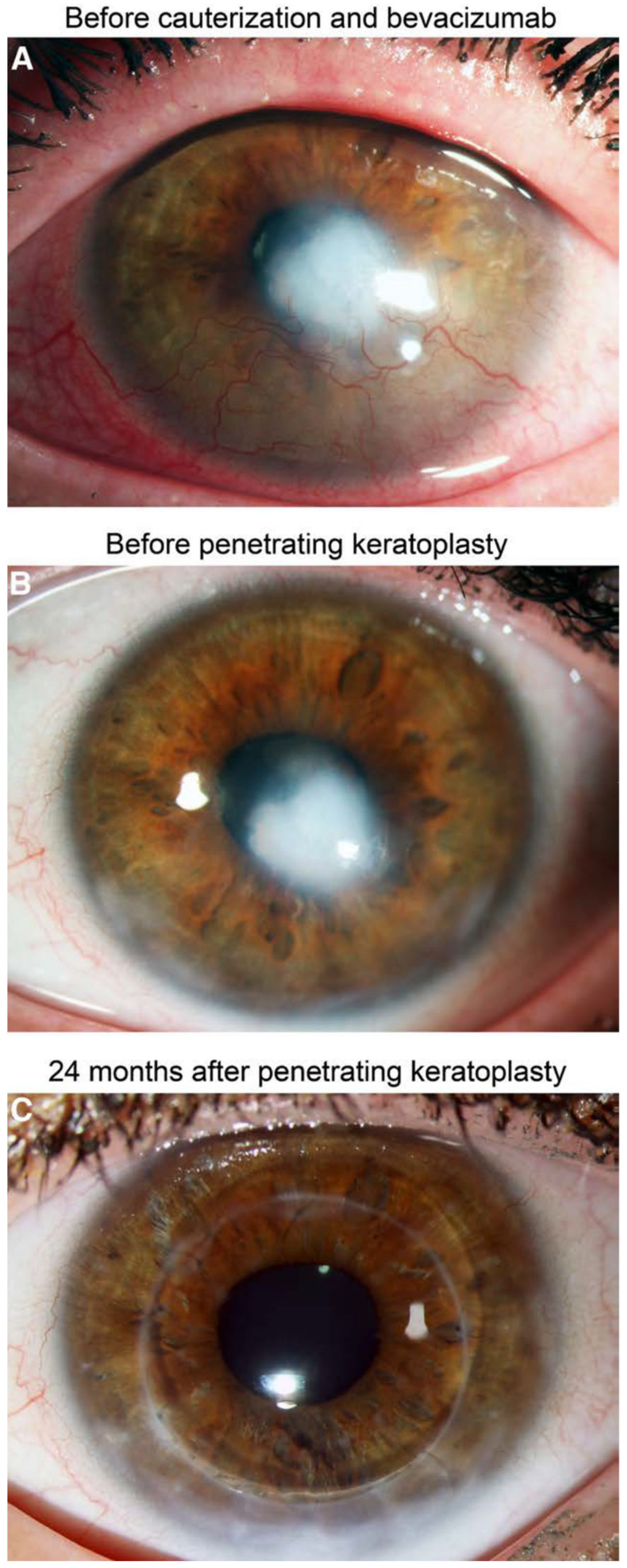 Cells 10 01661 g011 Cells 10 01661 g011