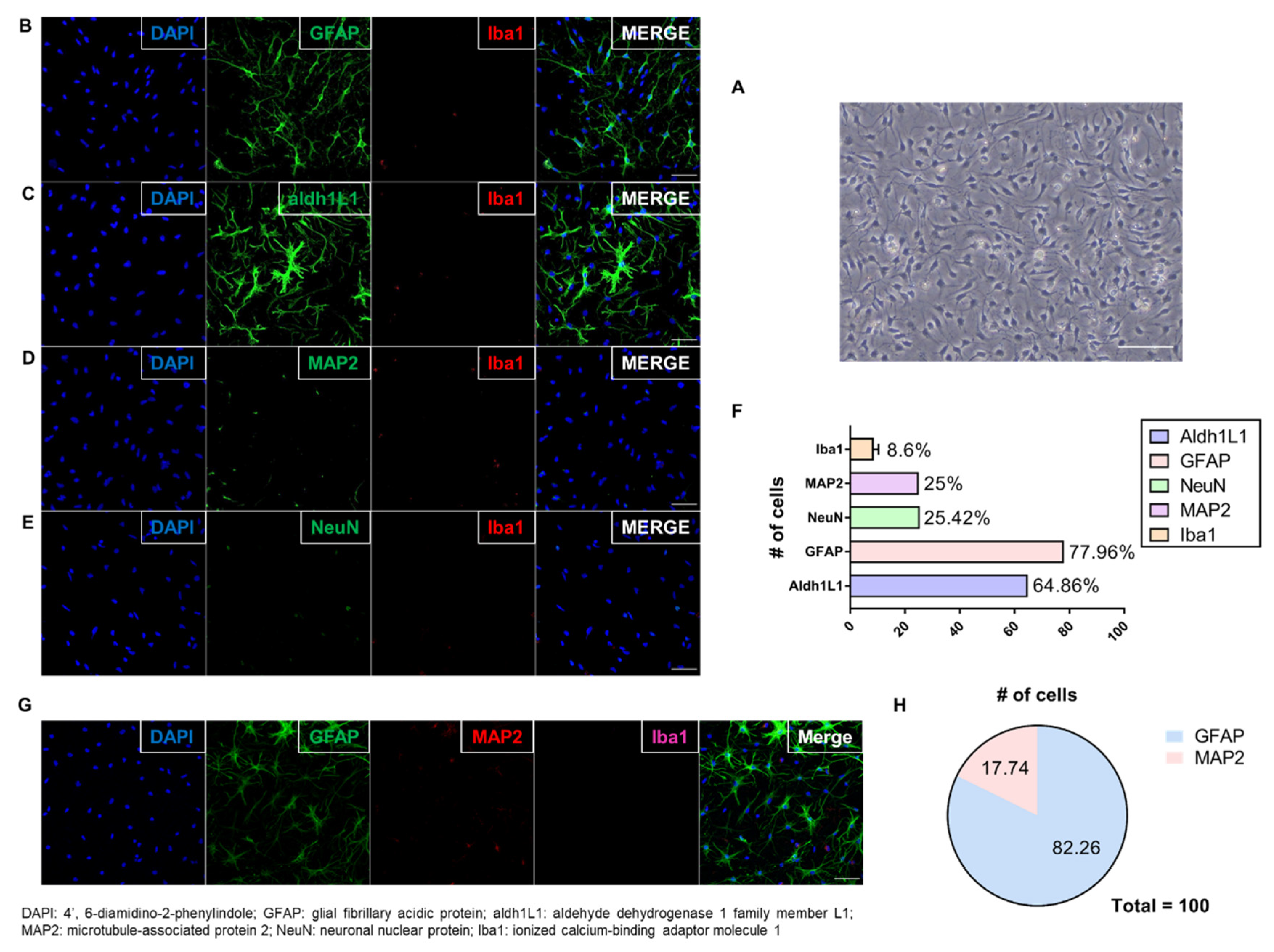 Cells 10 01664 g002 Cells 10 01664 g002