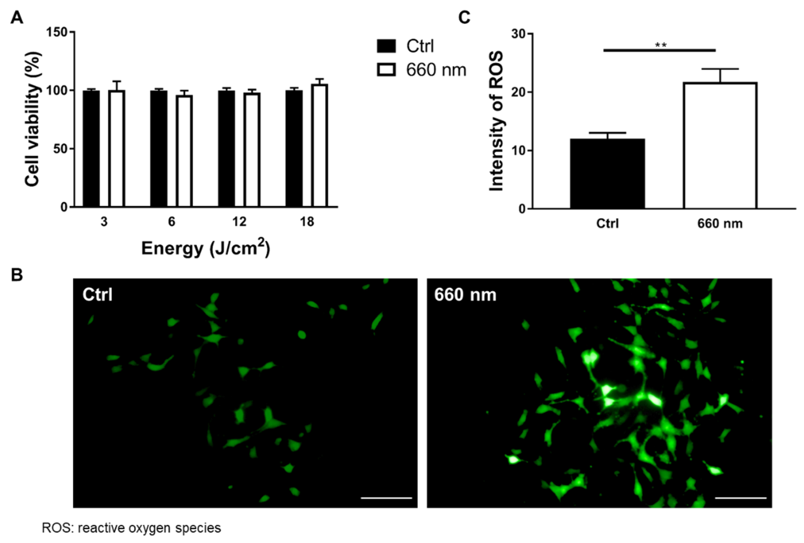Cells 10 01664 g003 Cells 10 01664 g003