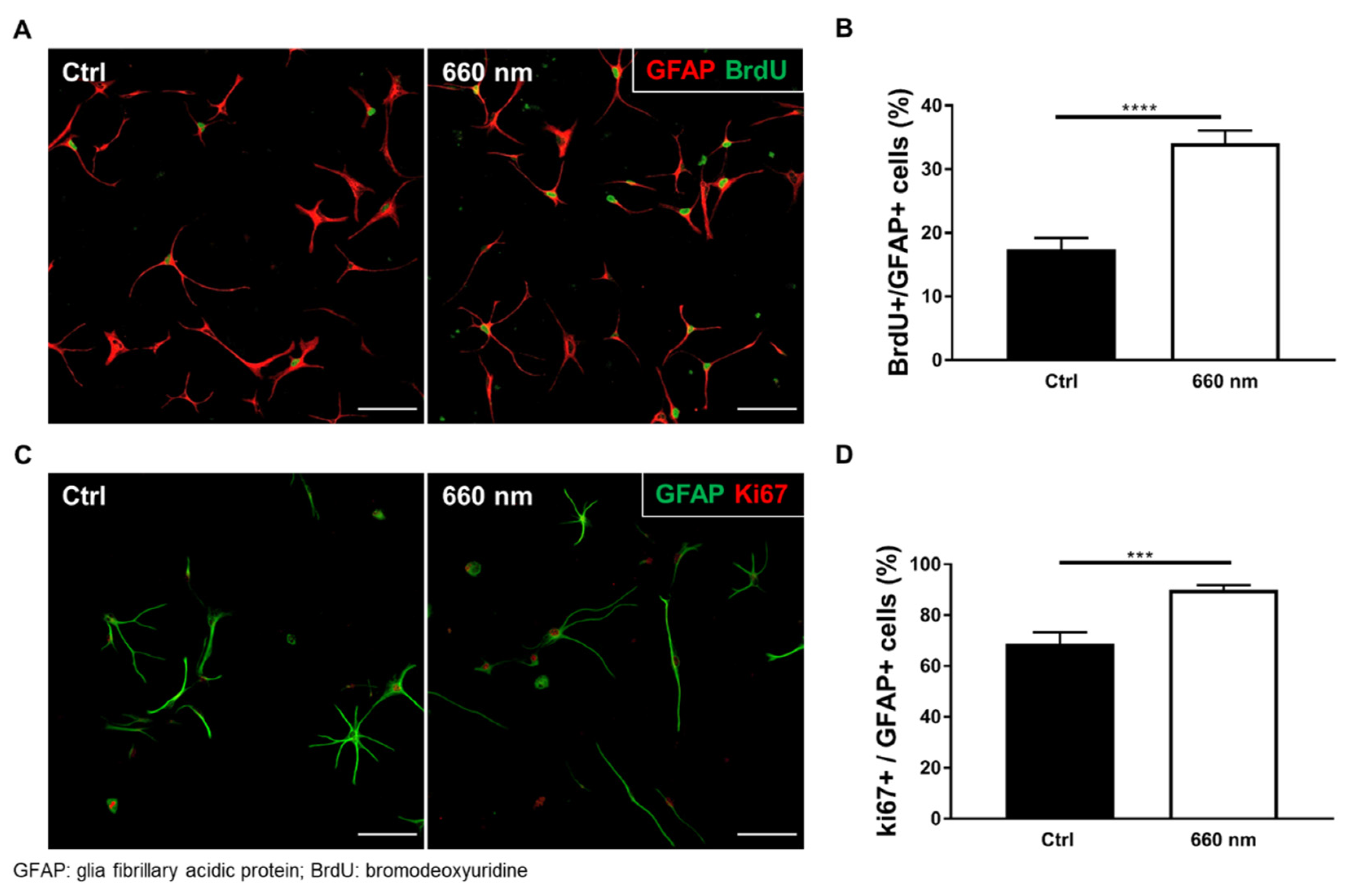 Cells 10 01664 g004 Cells 10 01664 g004