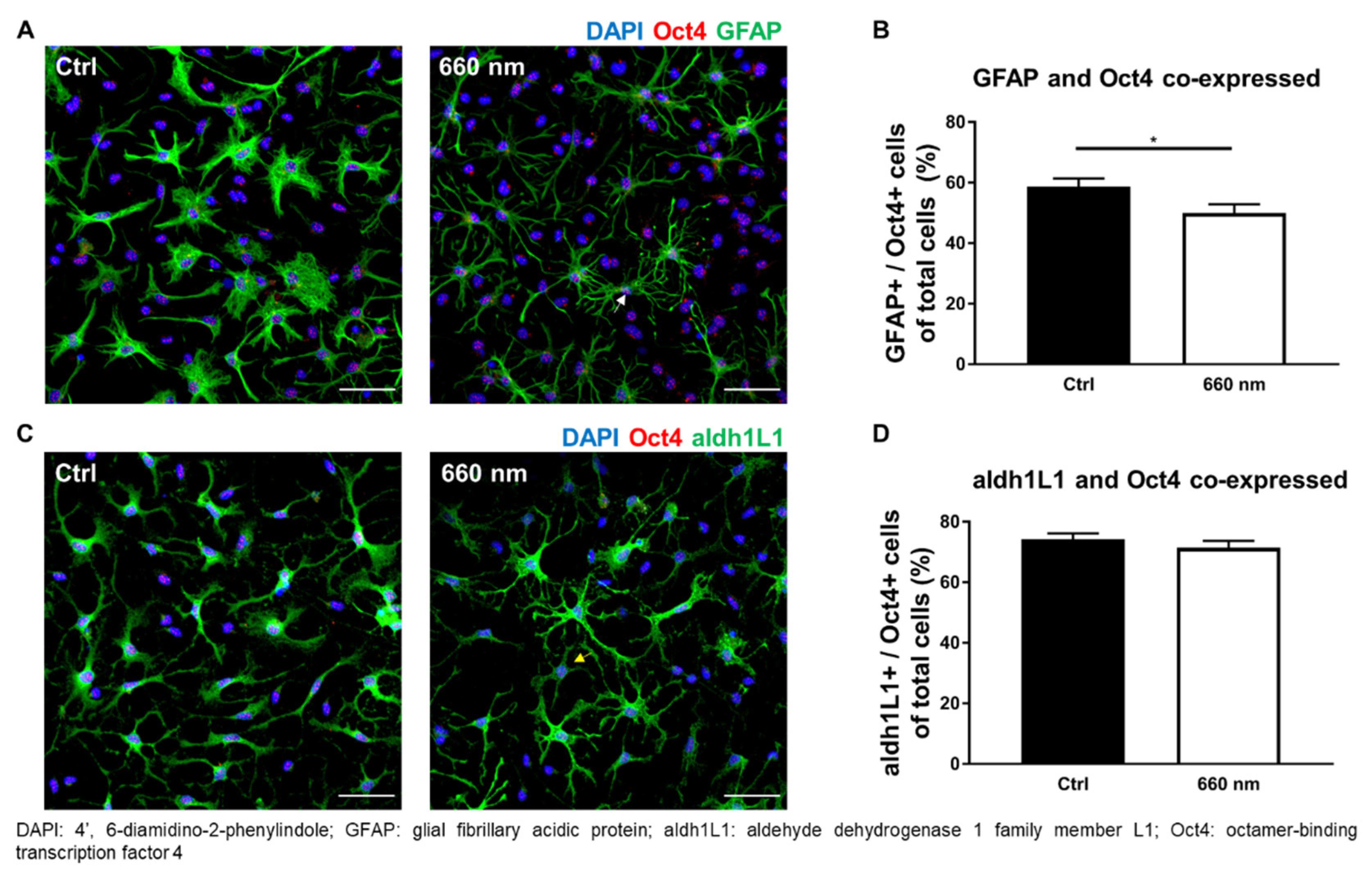 Cells 10 01664 g005 Cells 10 01664 g005
