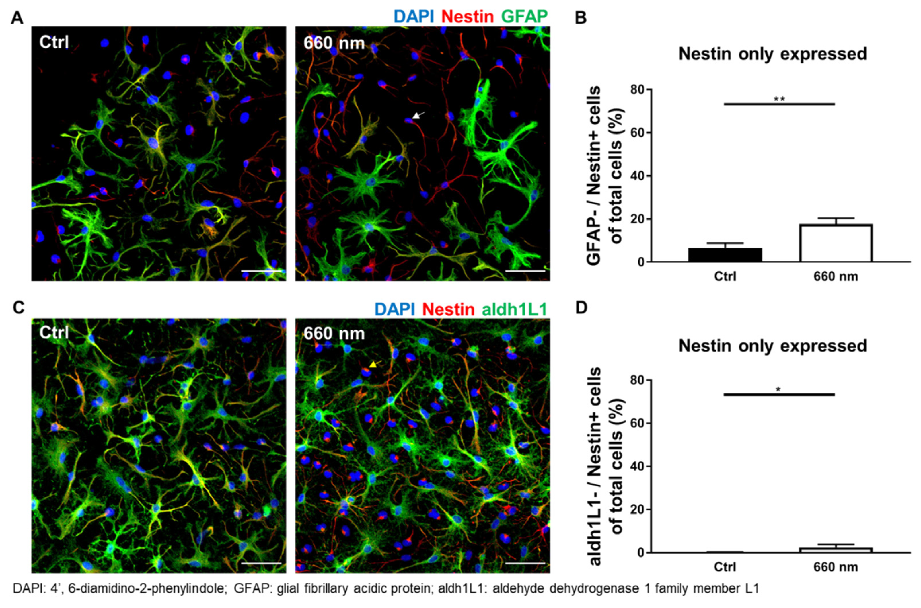 Cells 10 01664 g006 Cells 10 01664 g006