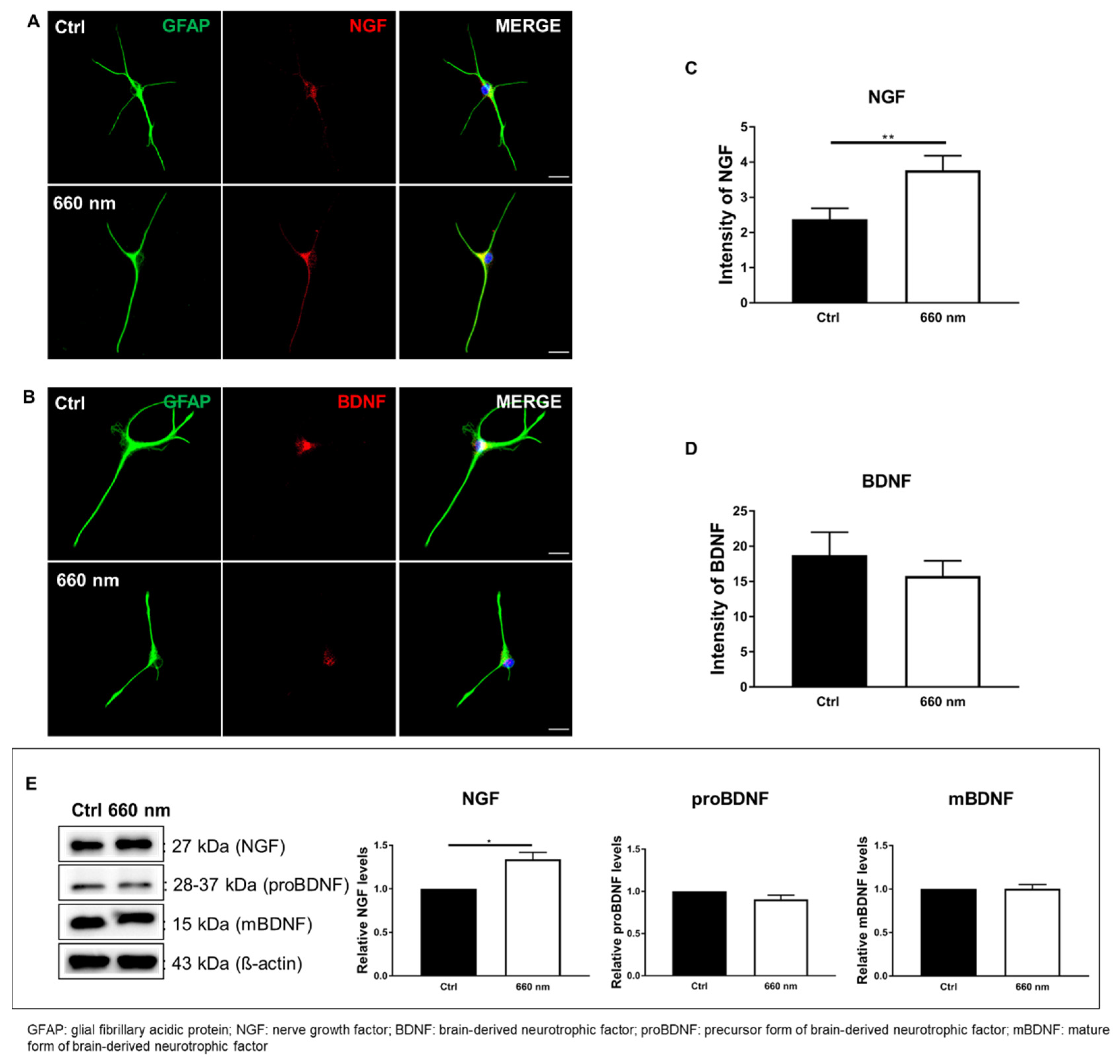Cells 10 01664 g007 Cells 10 01664 g007