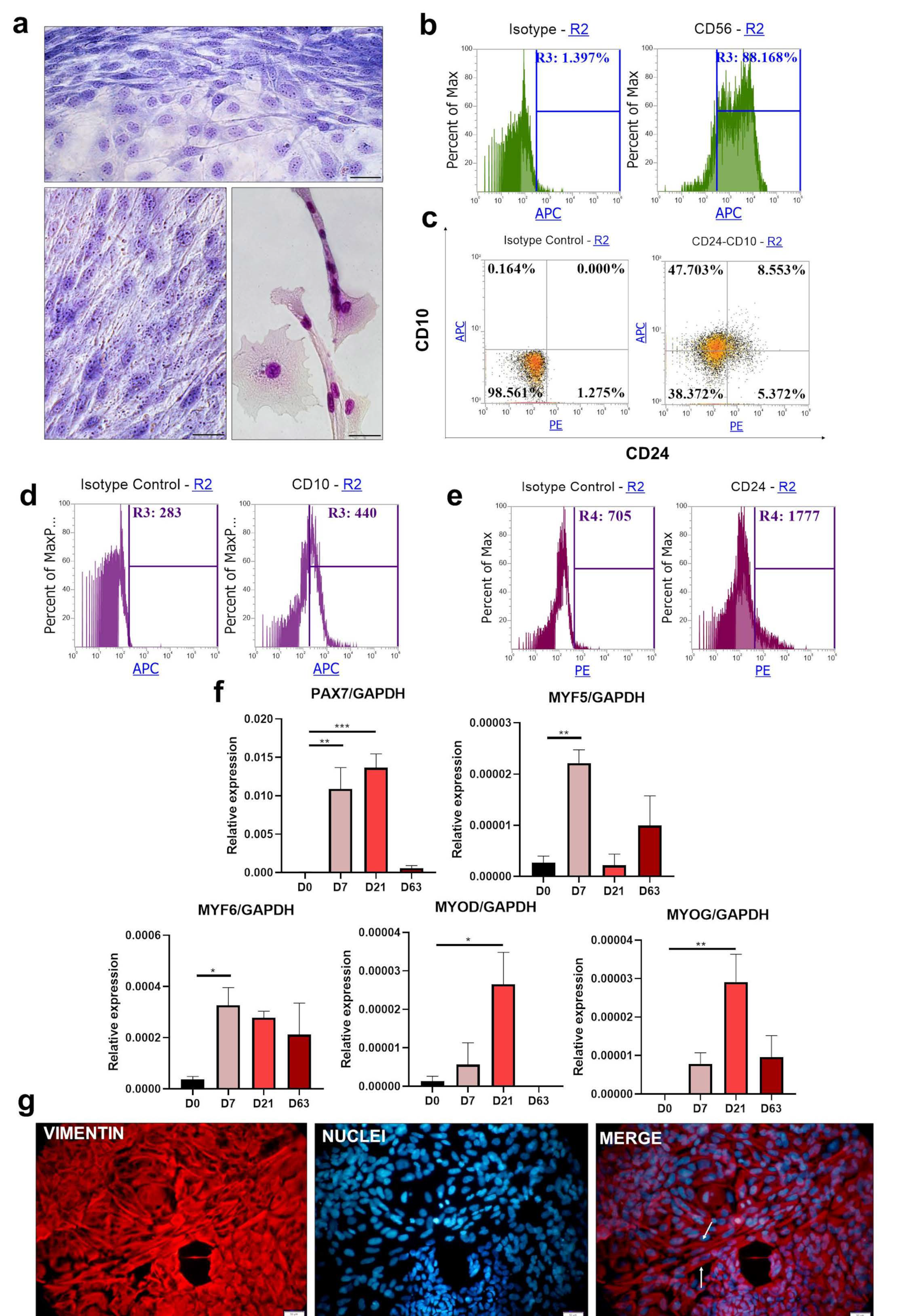 Cells 10 01671 g002 Cells 10 01671 g002