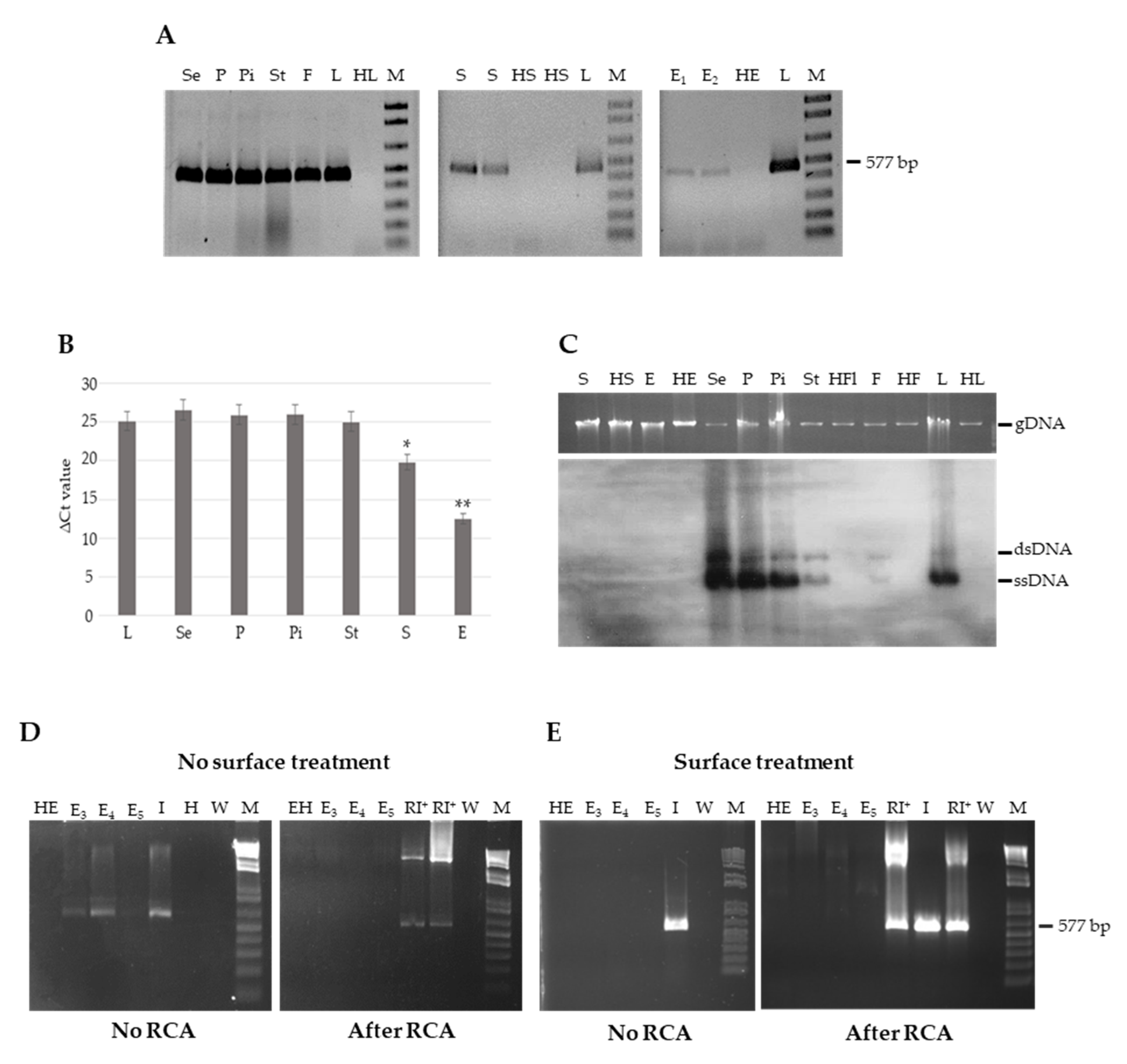 Cells 10 01673 g003 Cells 10 01673 g003