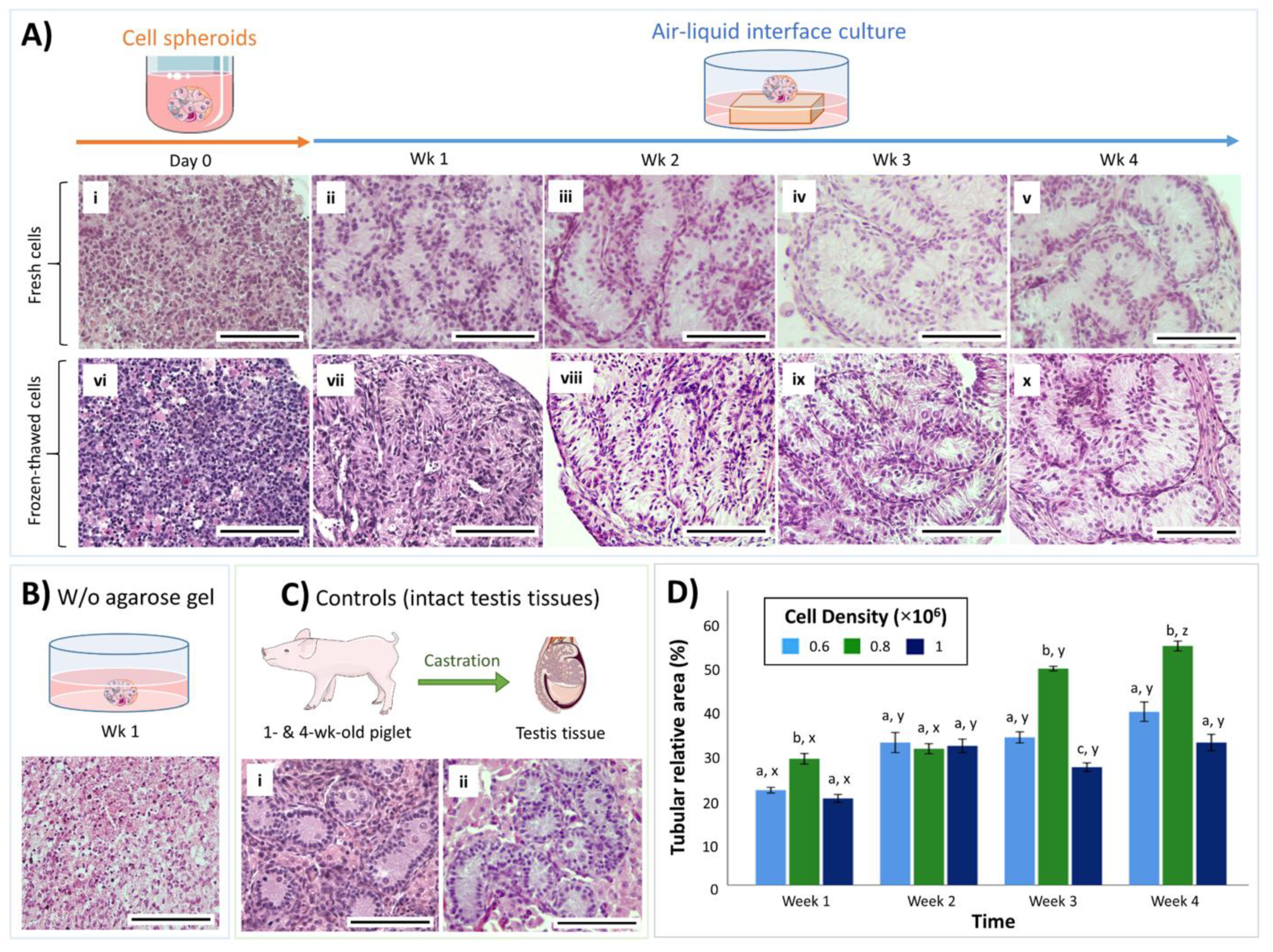 Cells 10 01696 g002 Cells 10 01696 g002