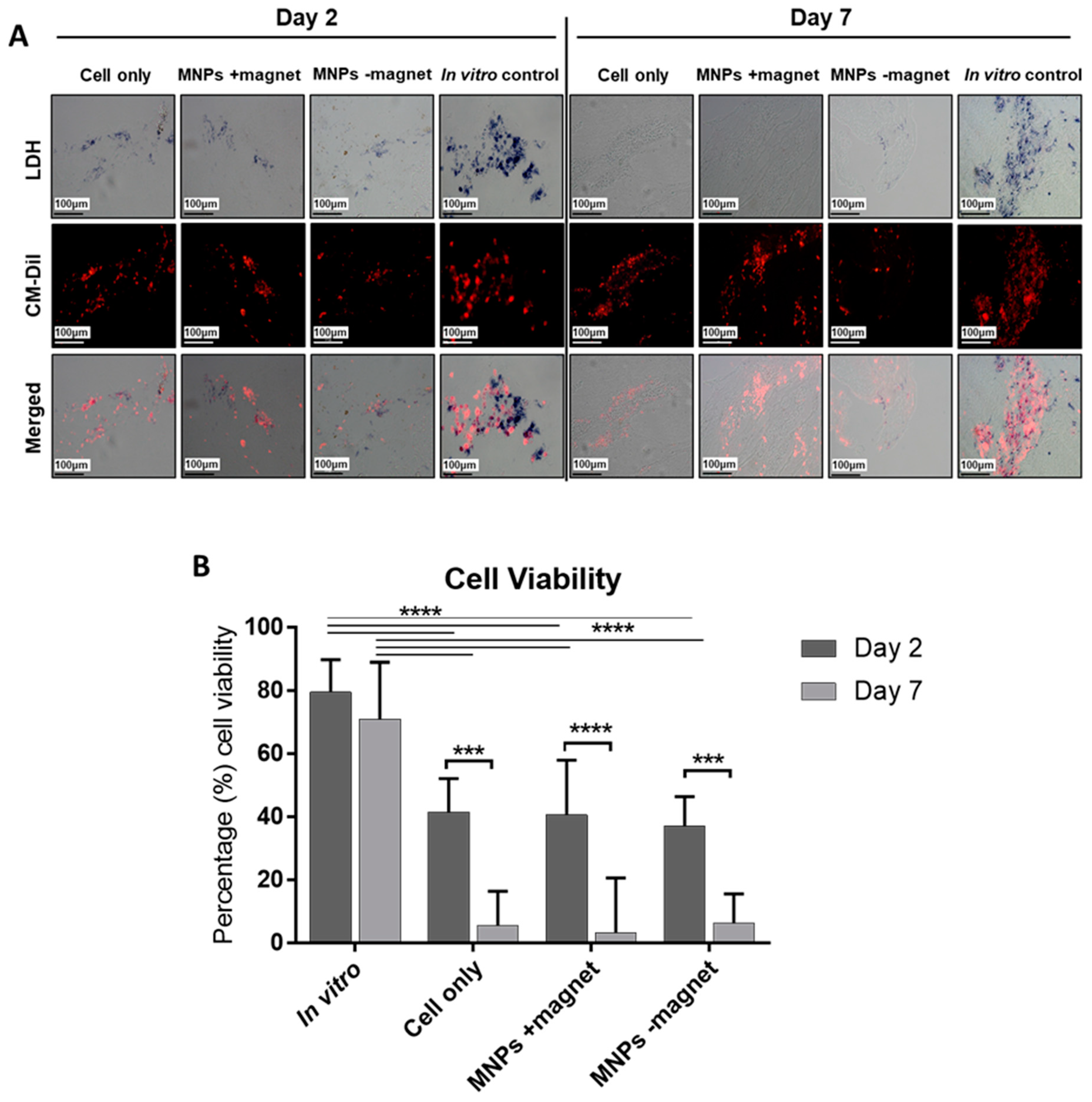 Cells 10 01776 g002 Cells 10 01776 g002