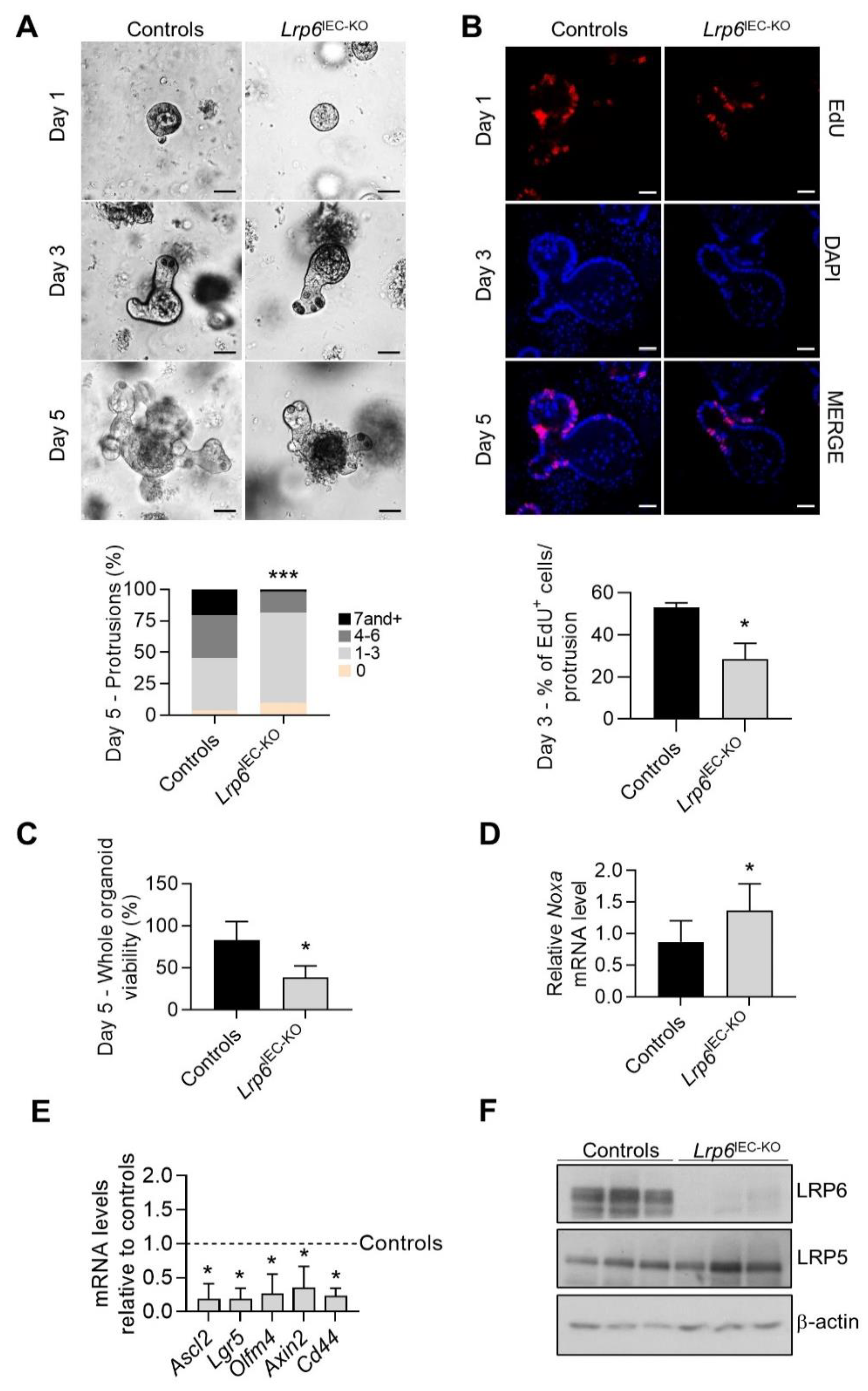 Cells 10 01792 g002 Cells 10 01792 g002