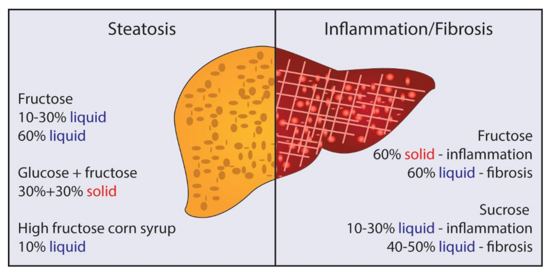 Cells 10 01805 g001 Cells 10 01805 g001