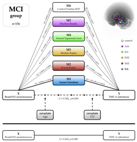 Cells 10 01829 g005 550