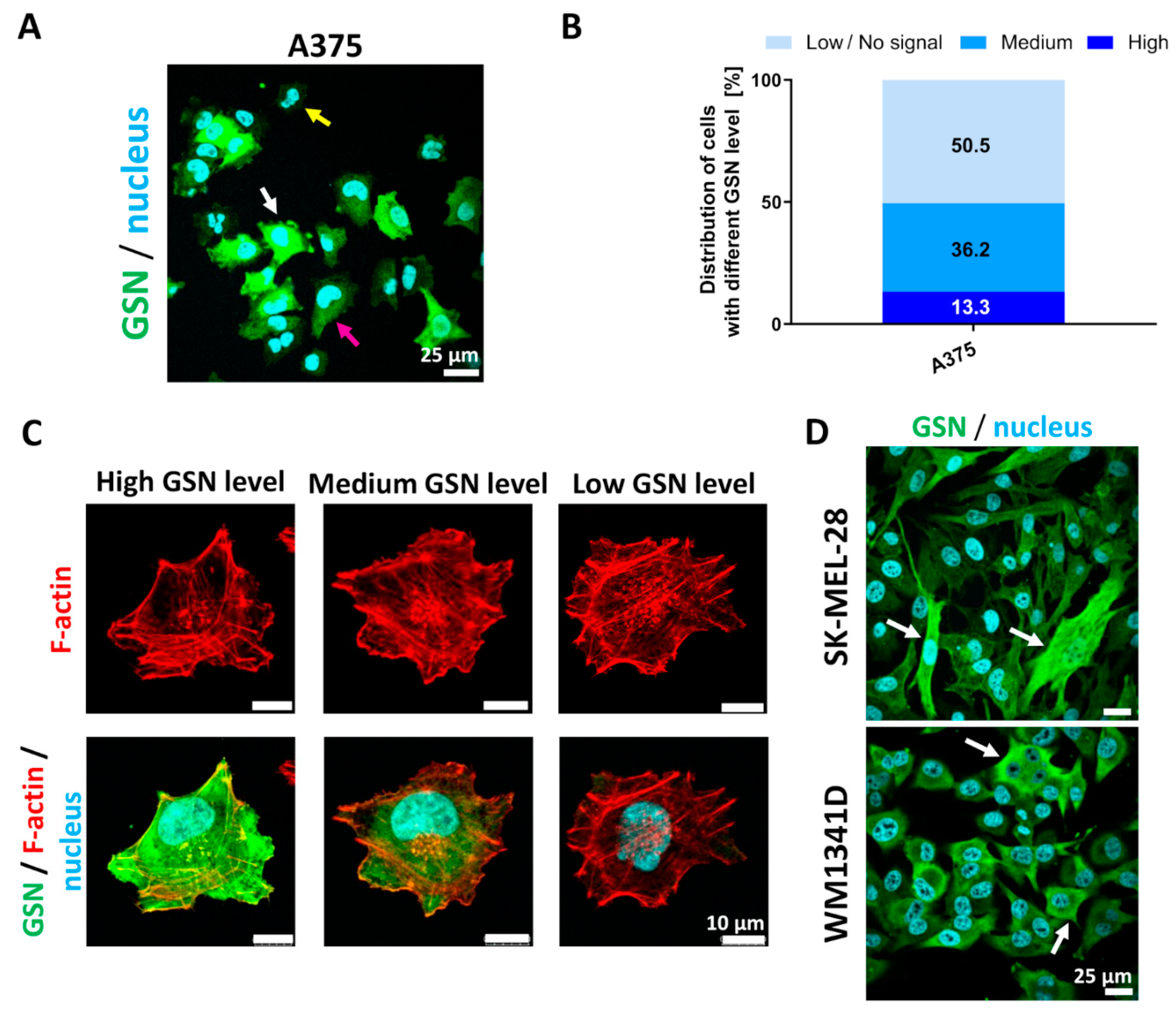 Cells 10 01848 g002 Cells 10 01848 g002