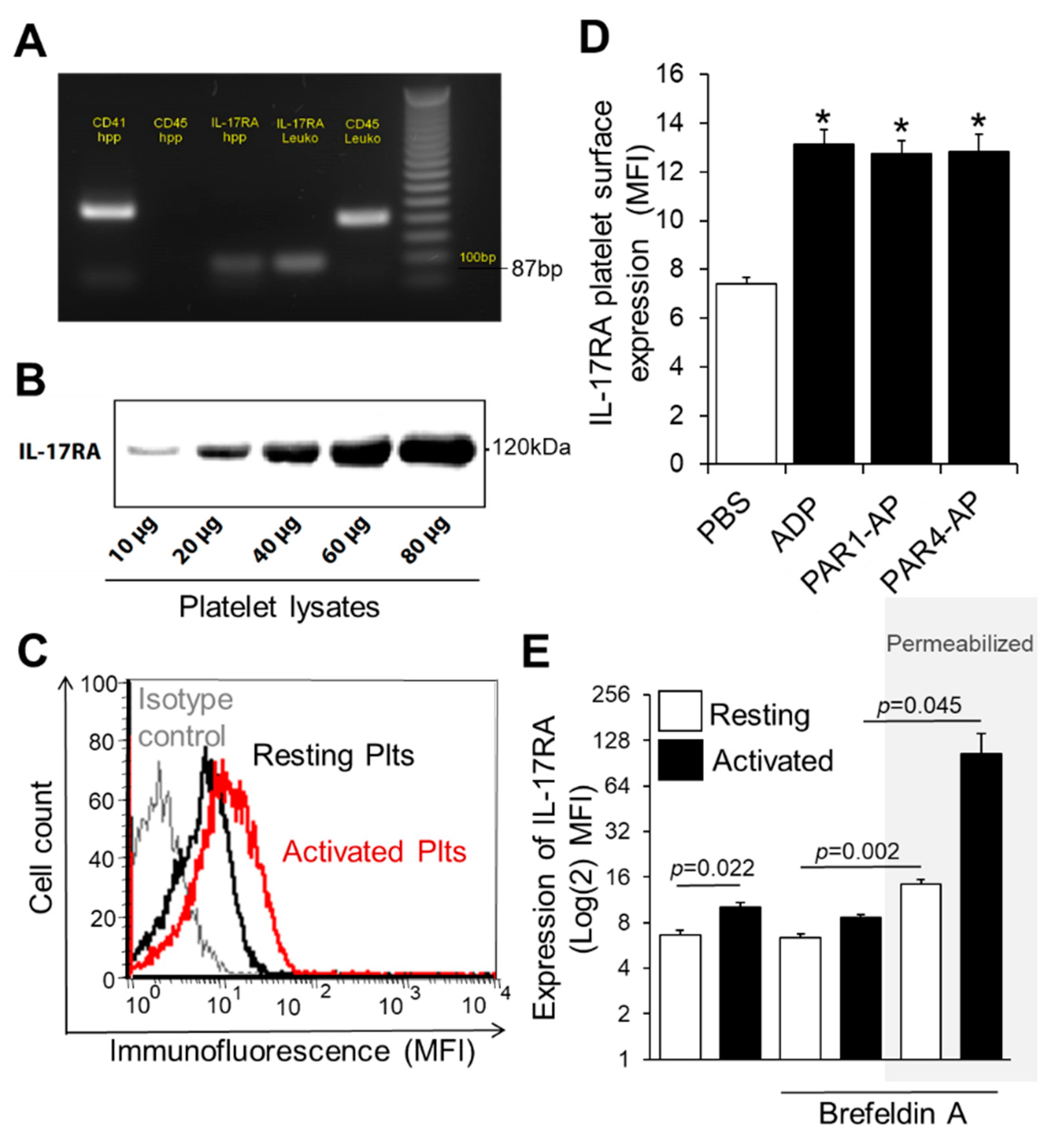 Cells 10 01855 g001 Cells 10 01855 g001