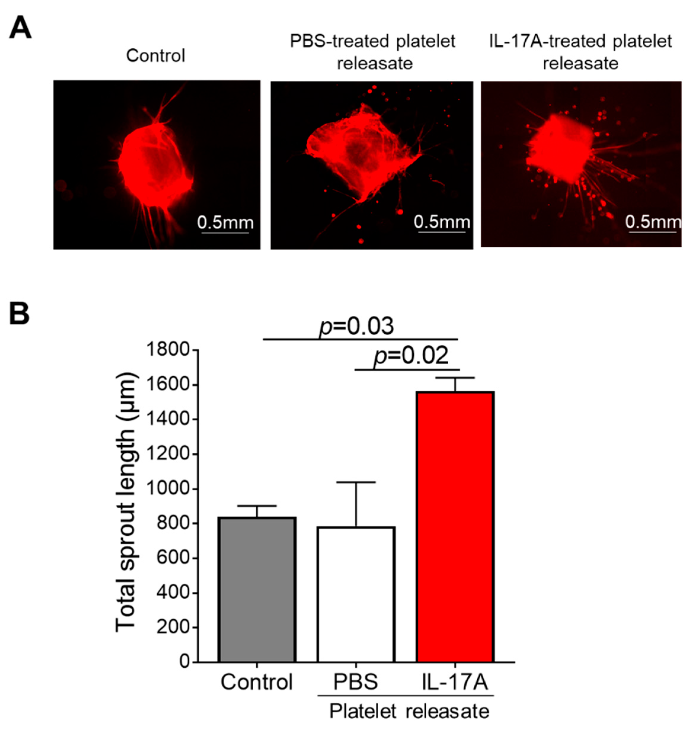 Cells 10 01855 g005 Cells 10 01855 g005