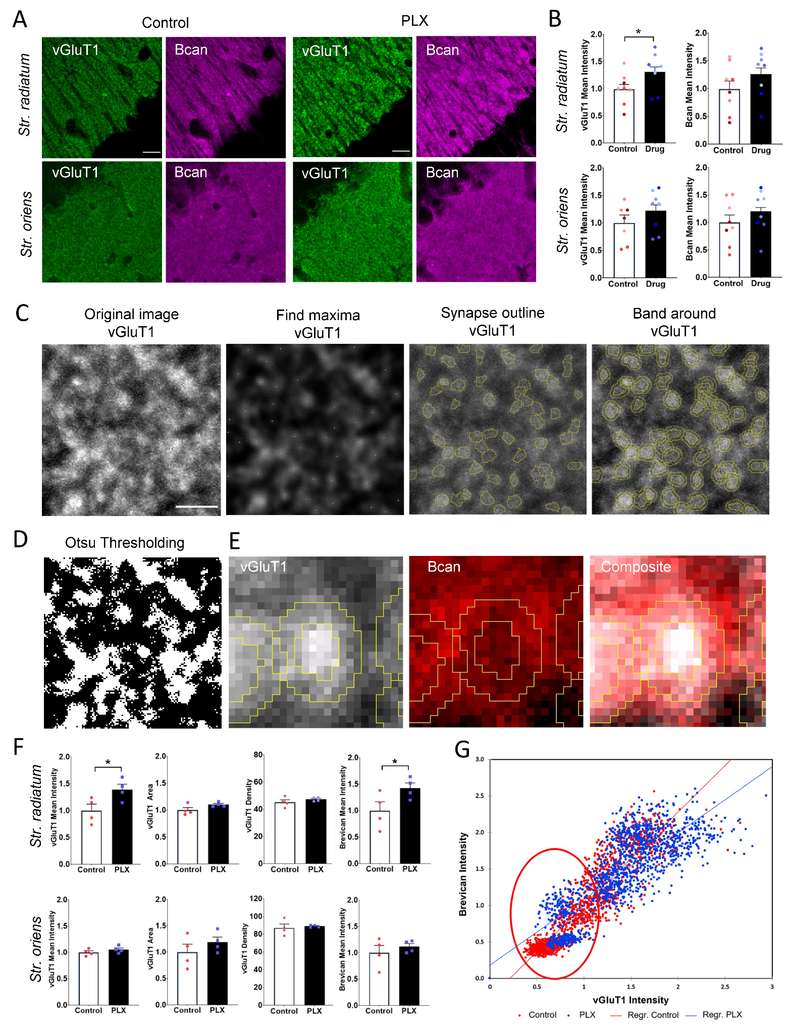 Cells 10 01862 g004 Cells 10 01862 g004