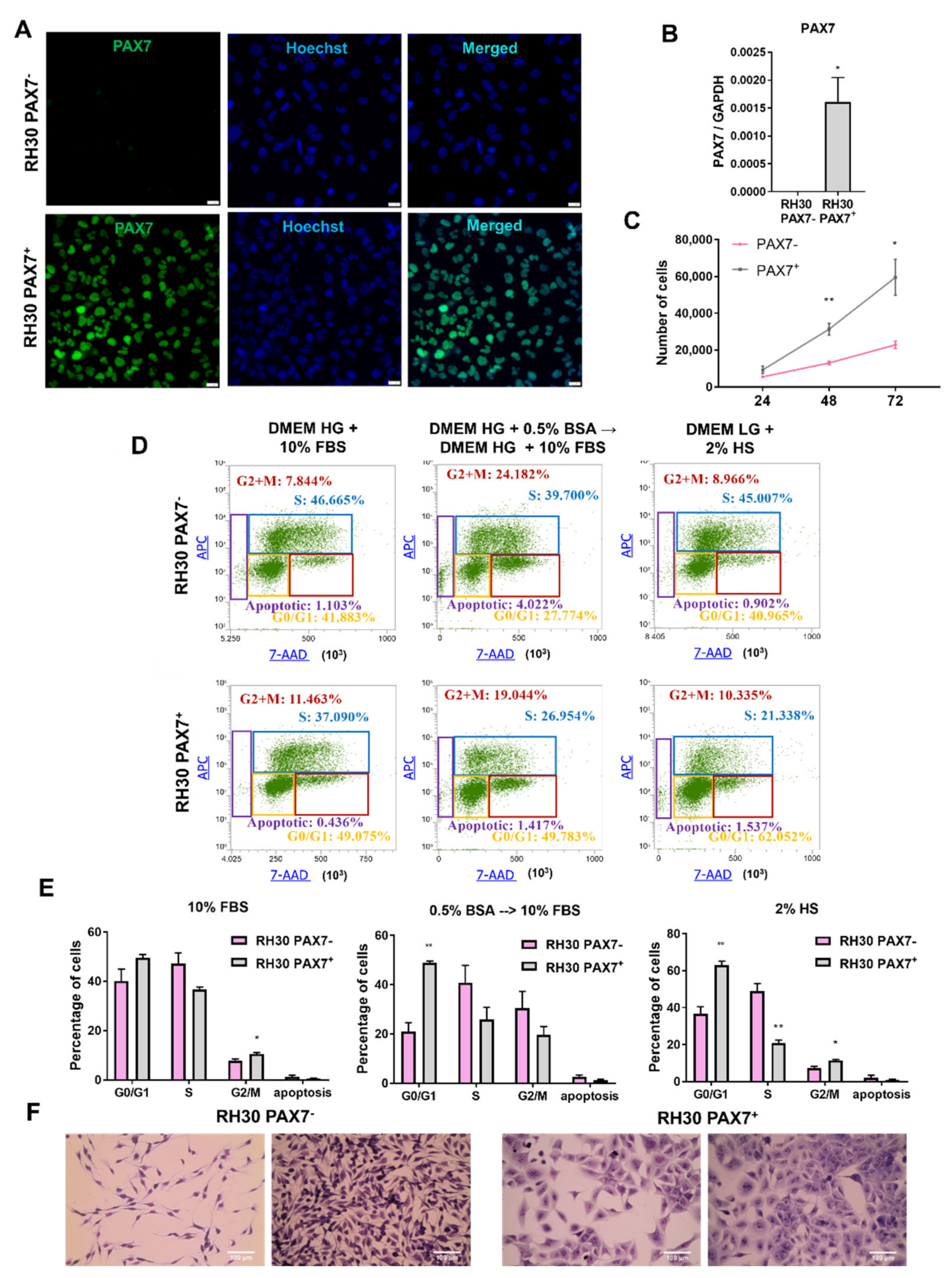 Cells 10 01870 g001 Cells 10 01870 g001
