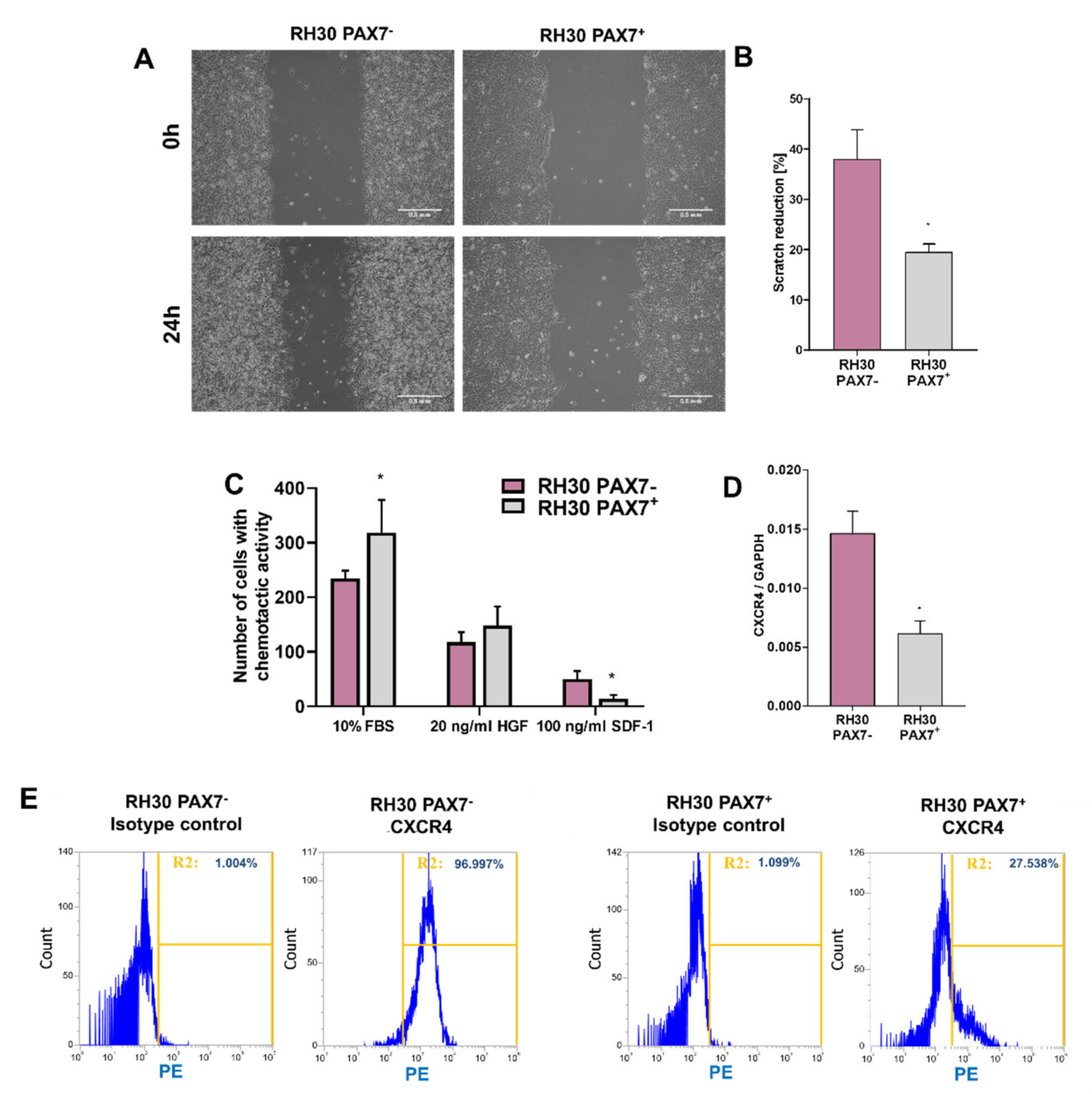 Cells 10 01870 g003 Cells 10 01870 g003