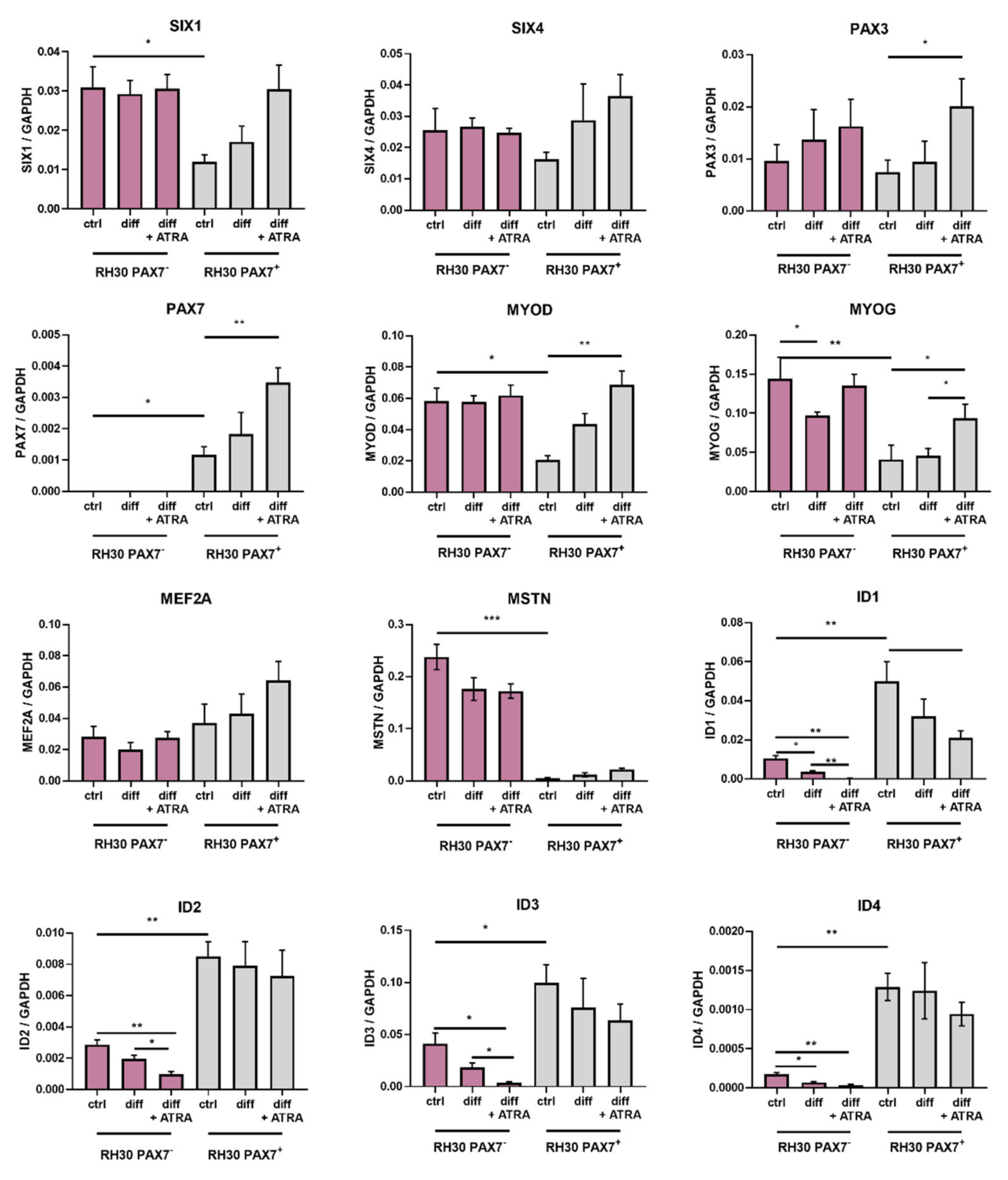 Cells 10 01870 g004 Cells 10 01870 g004