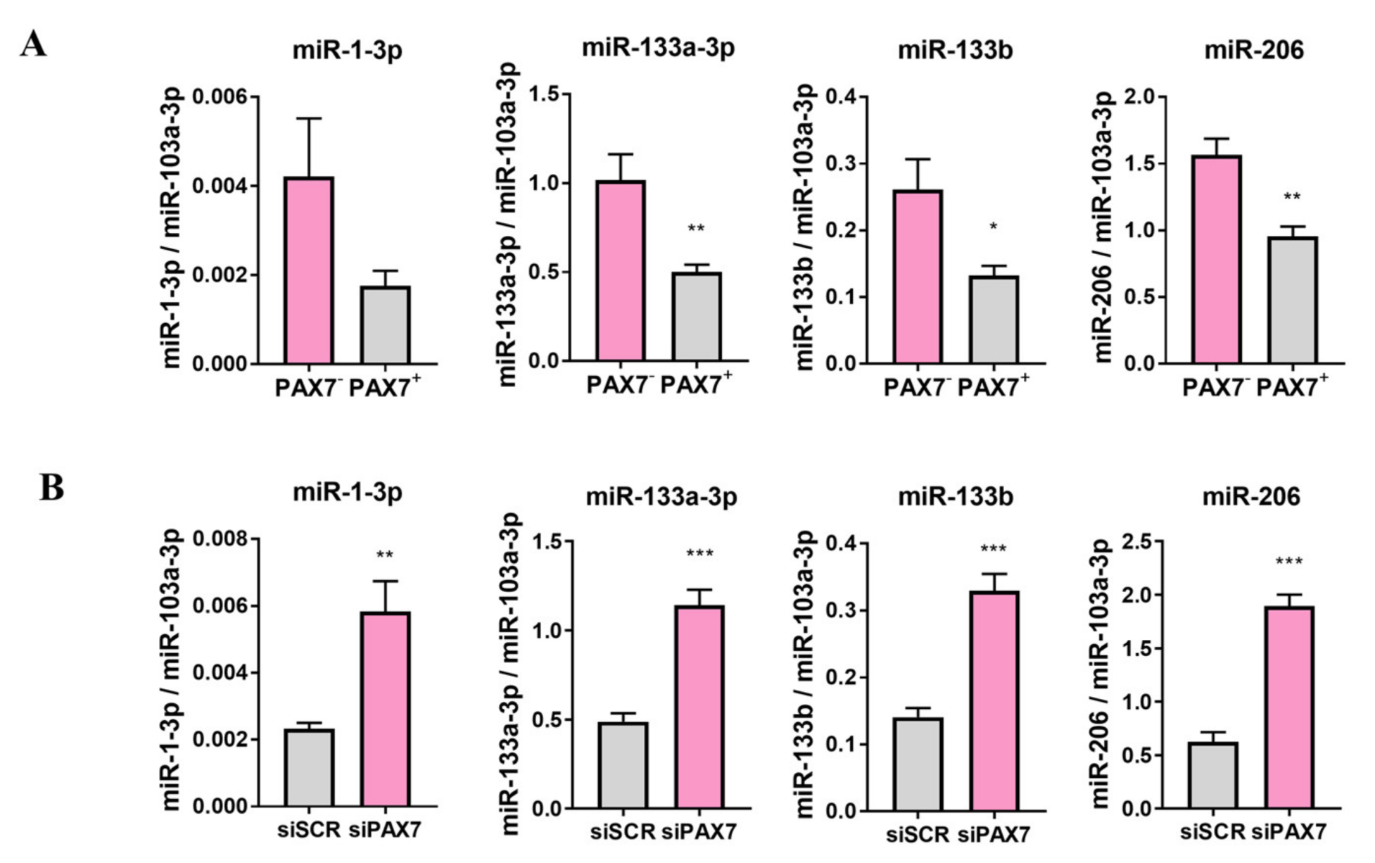 Cells 10 01870 g006 Cells 10 01870 g006