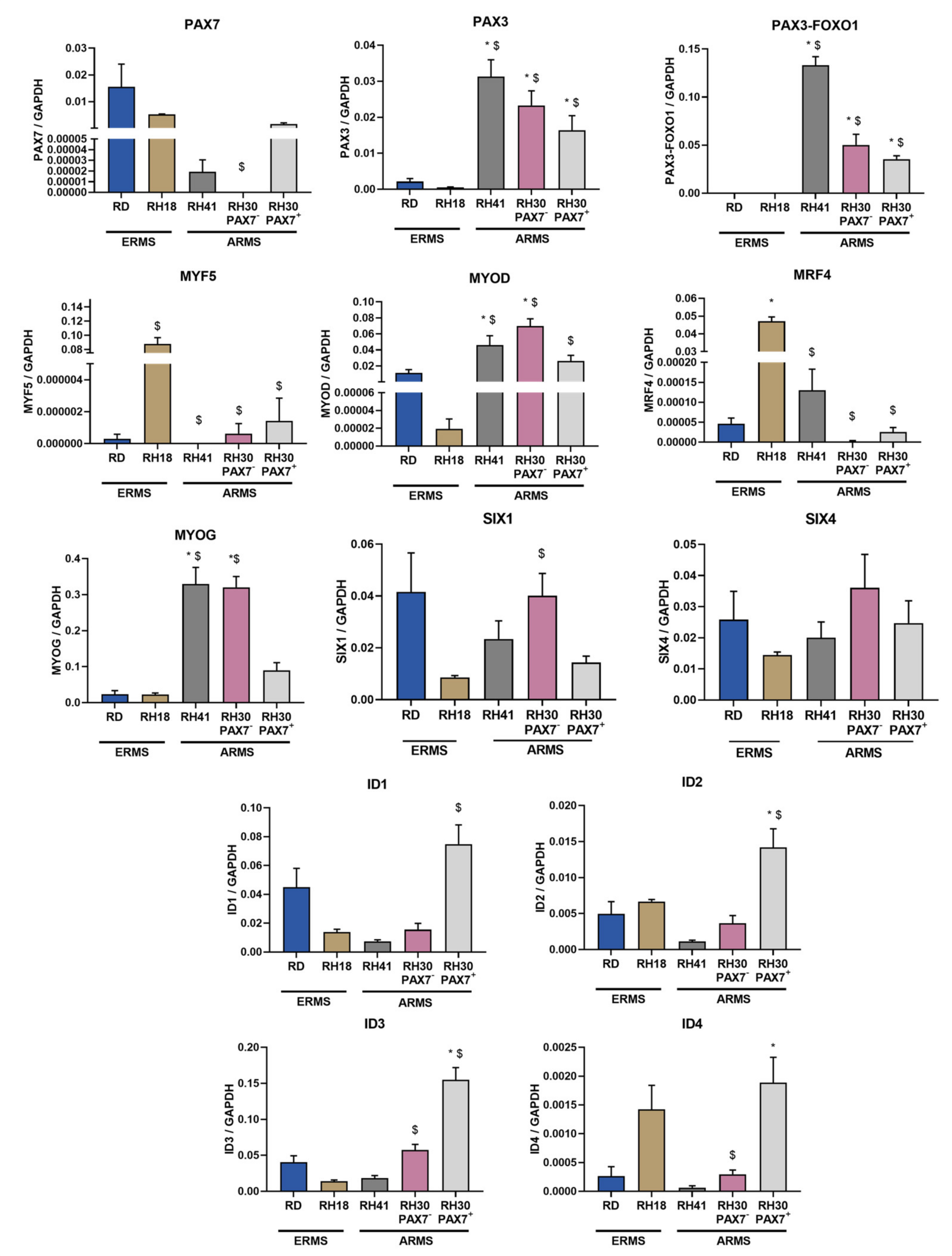Cells 10 01870 g007 Cells 10 01870 g007