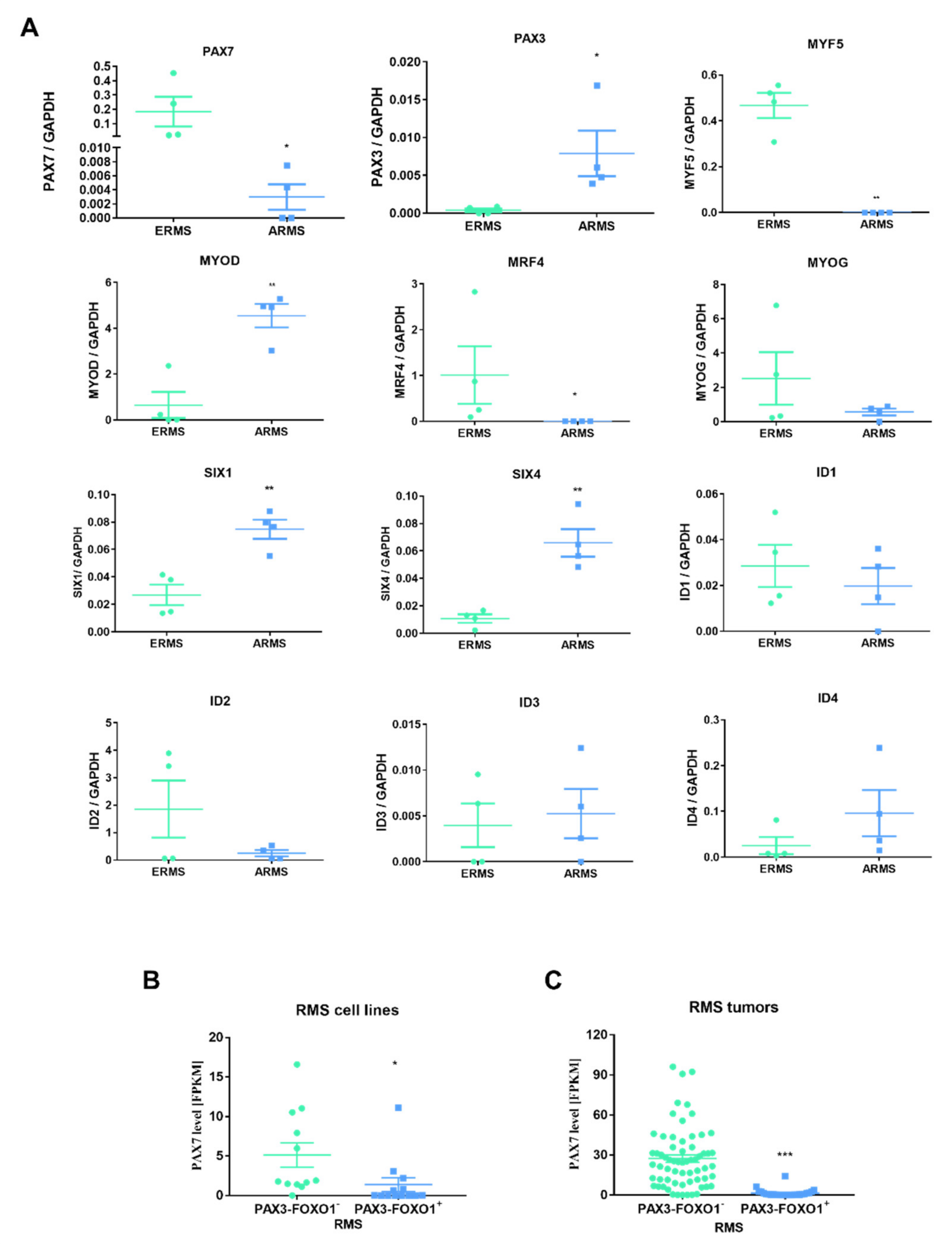 Cells 10 01870 g009 Cells 10 01870 g009