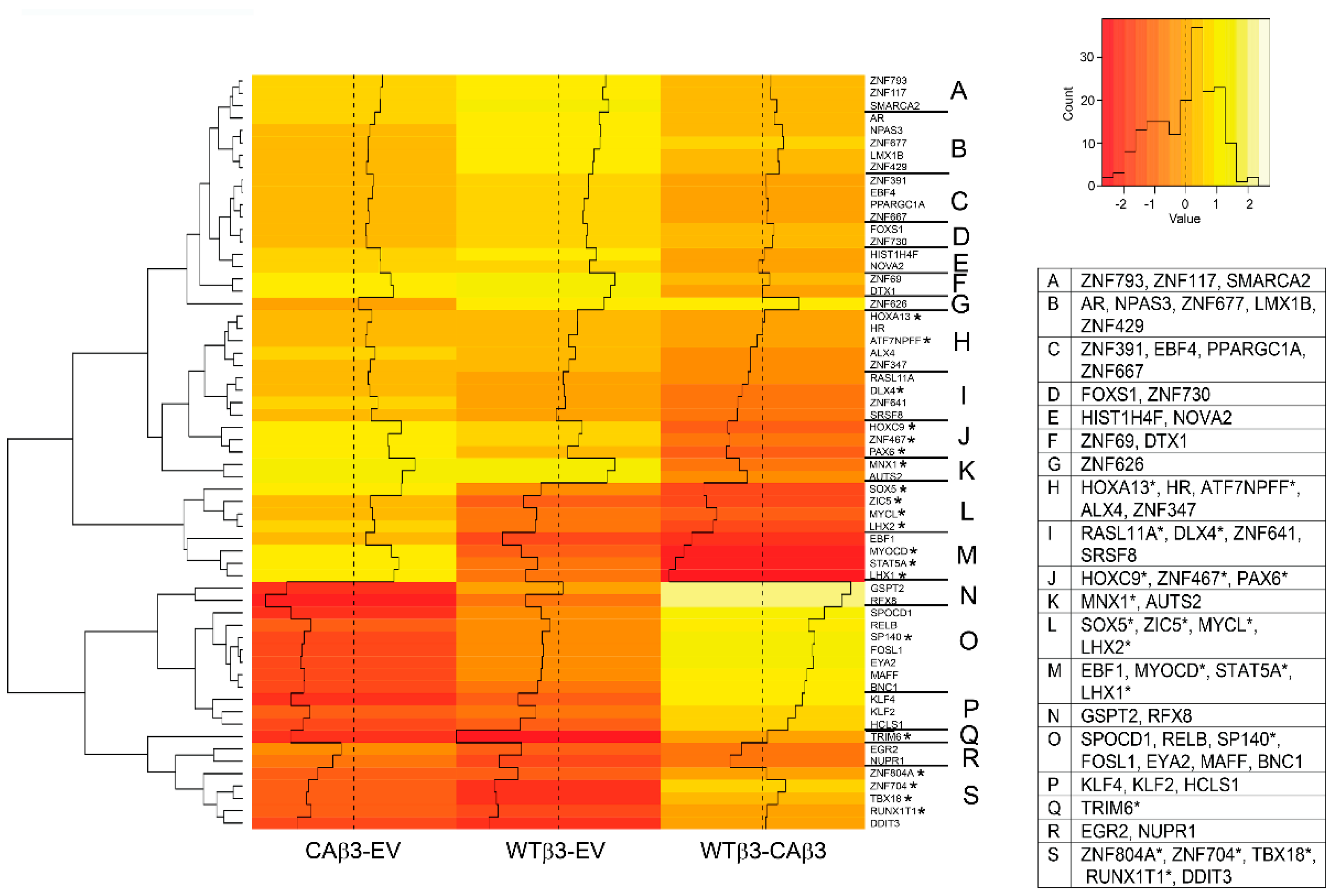 Cells 10 01923 g004 Cells 10 01923 g004