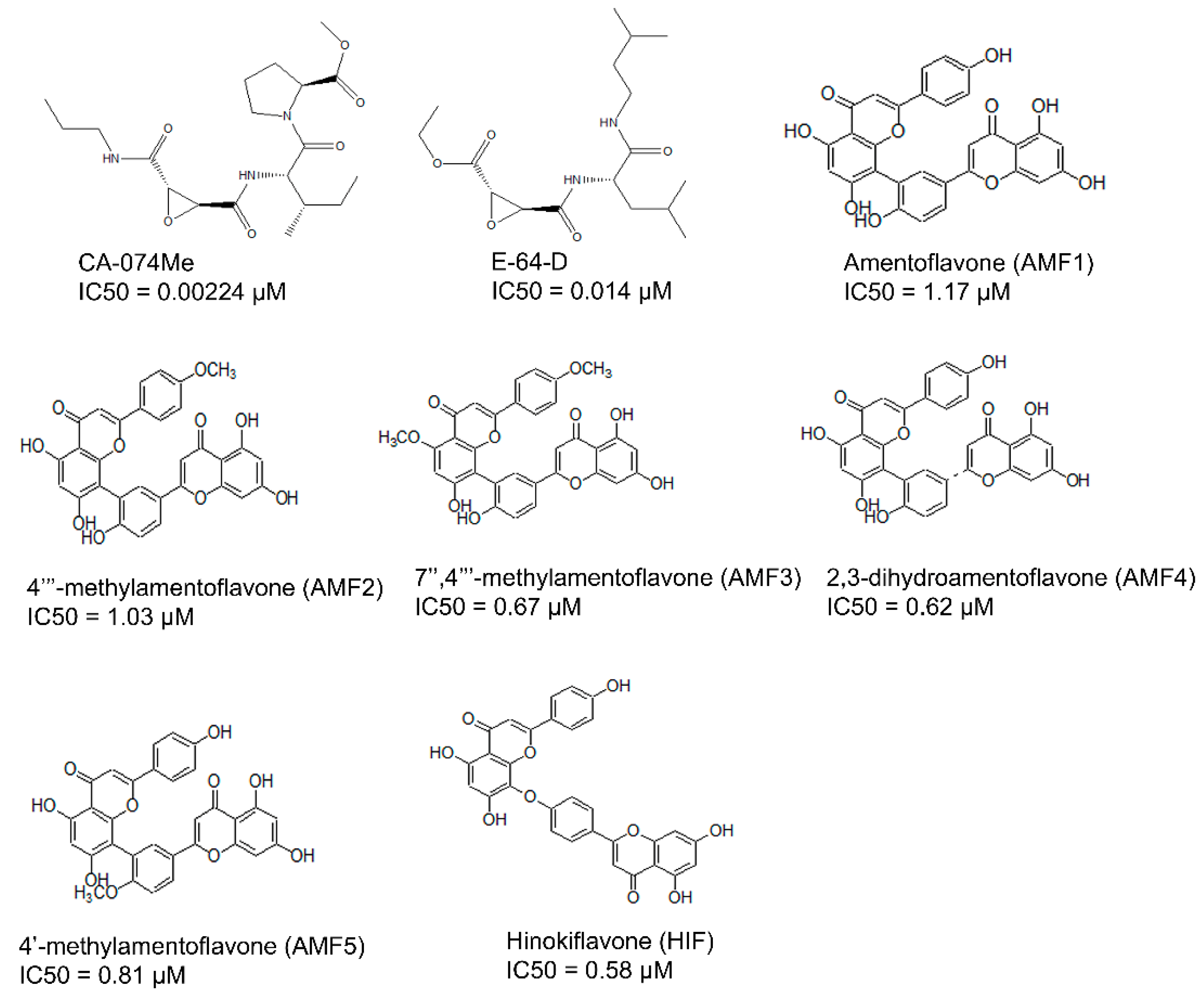 Cells 10 01946 g001 Cells 10 01946 g001
