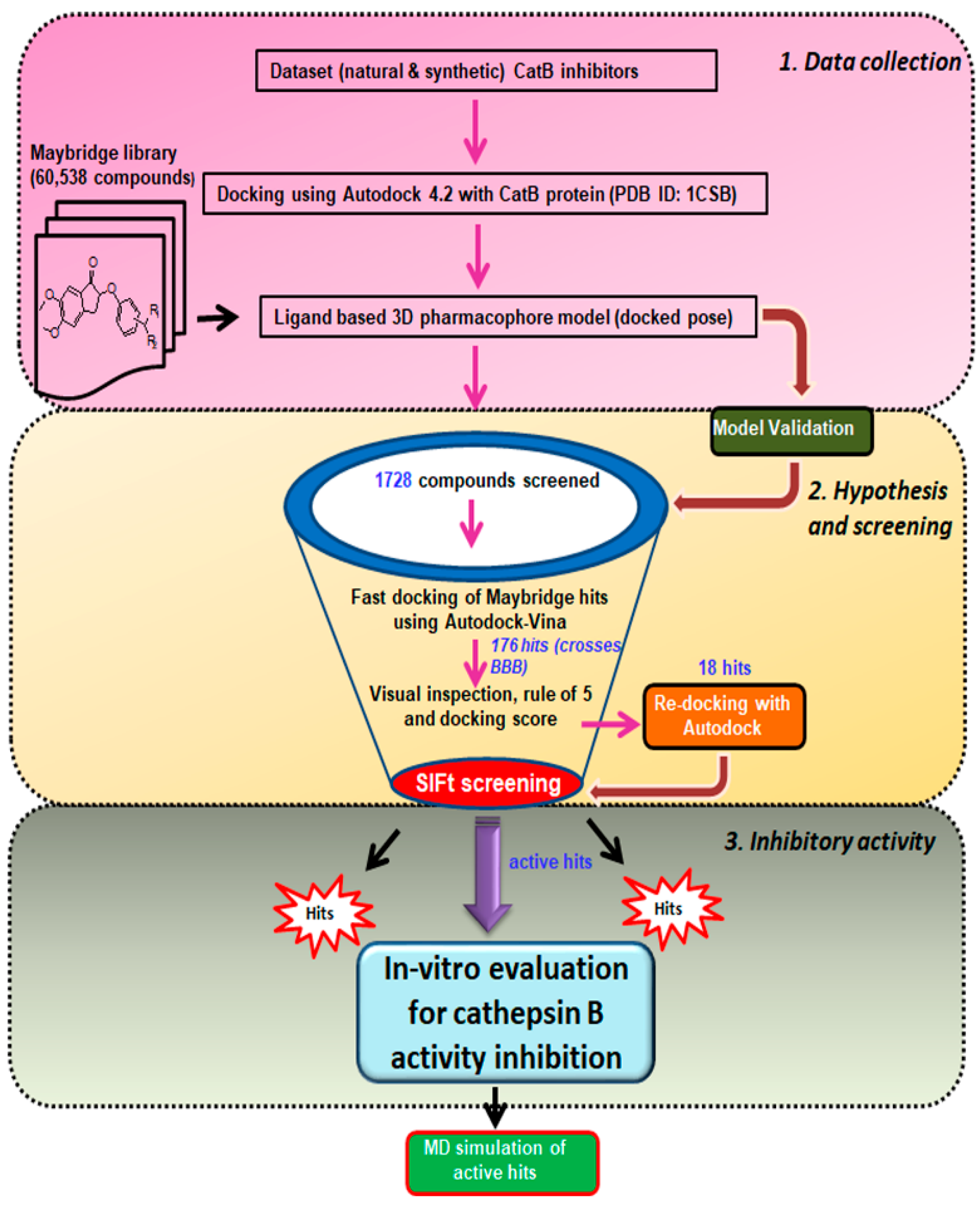 Cells 10 01946 g003 Cells 10 01946 g003