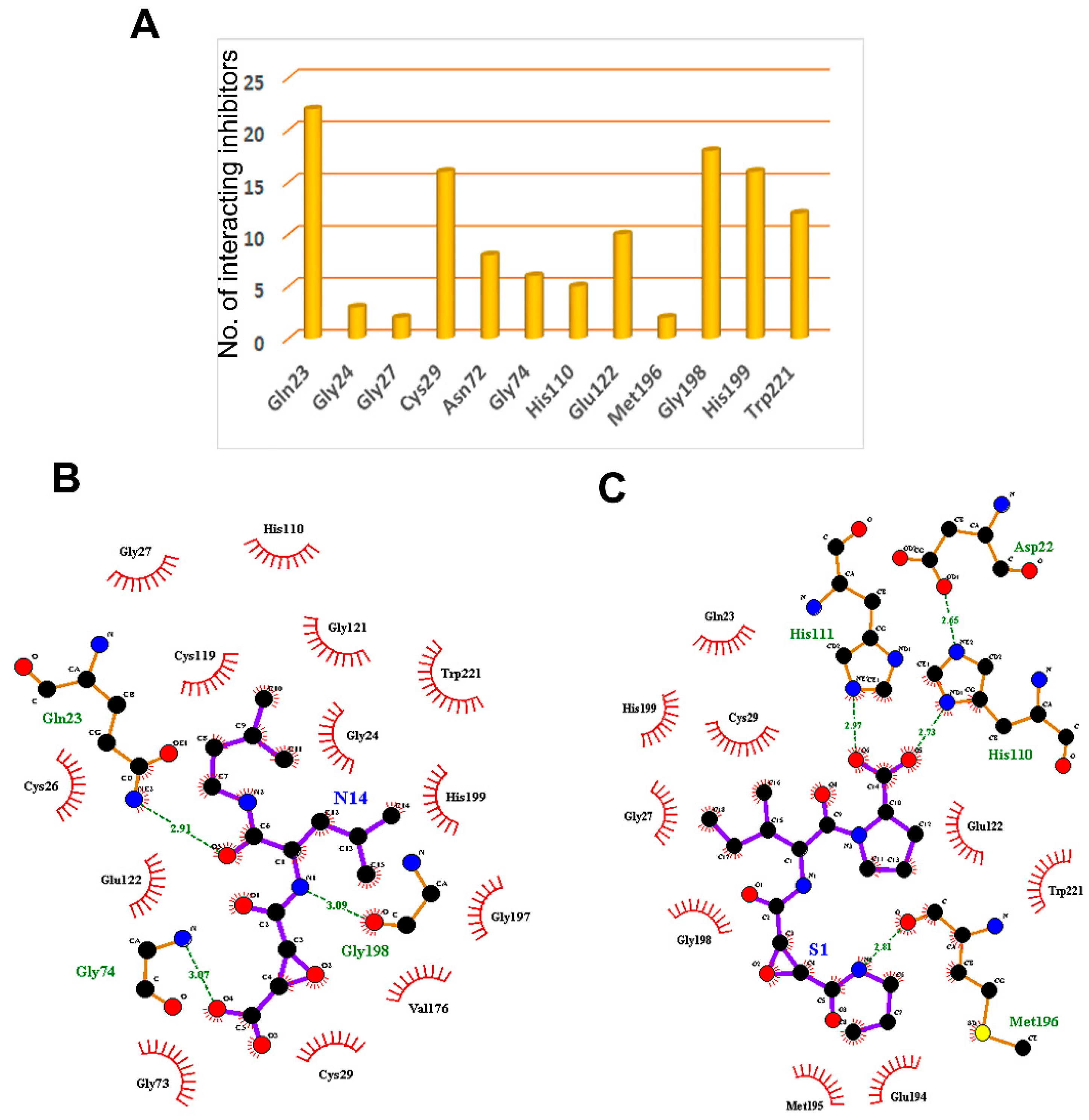 Cells 10 01946 g004 Cells 10 01946 g004