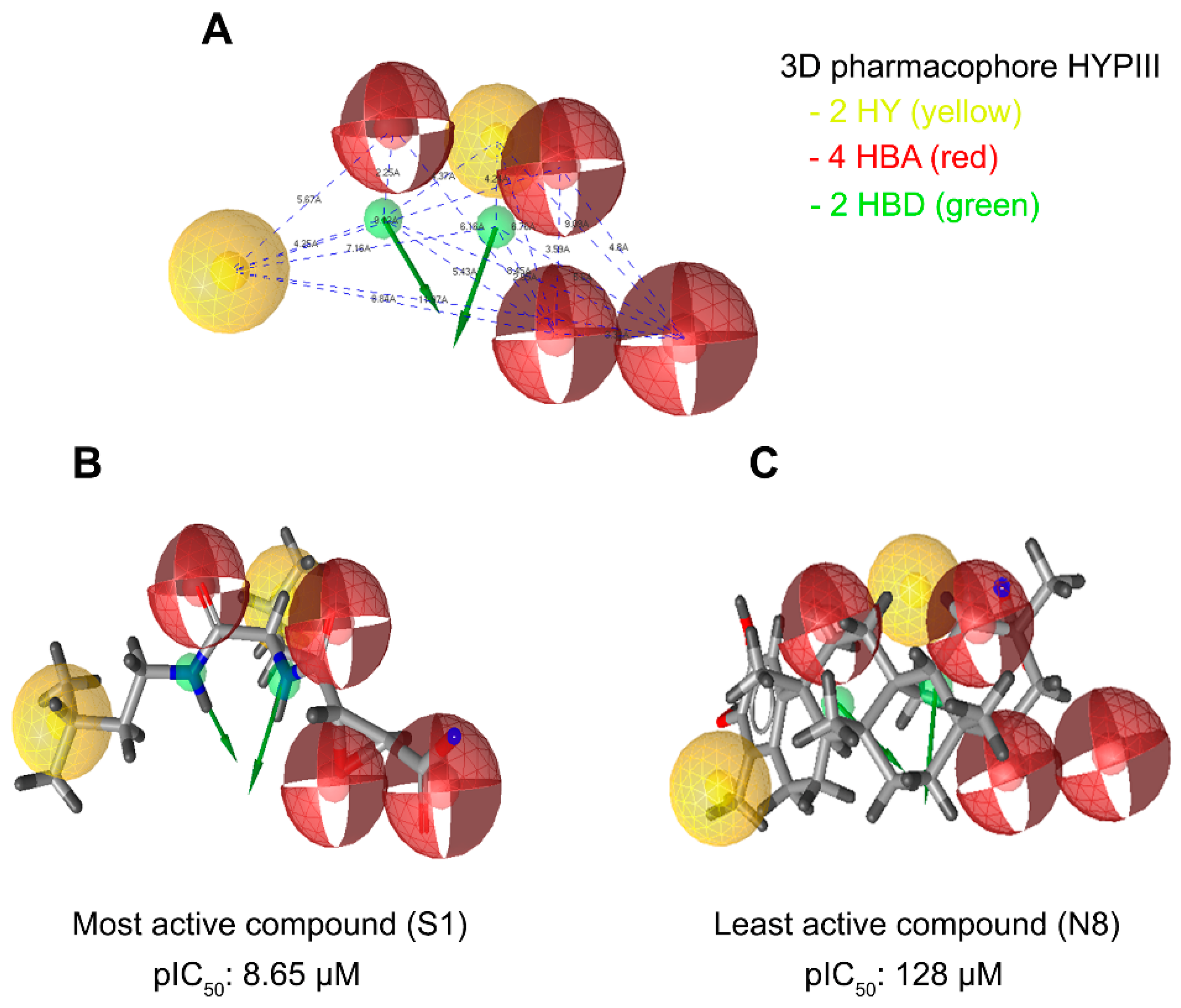 Cells 10 01946 g005 Cells 10 01946 g005