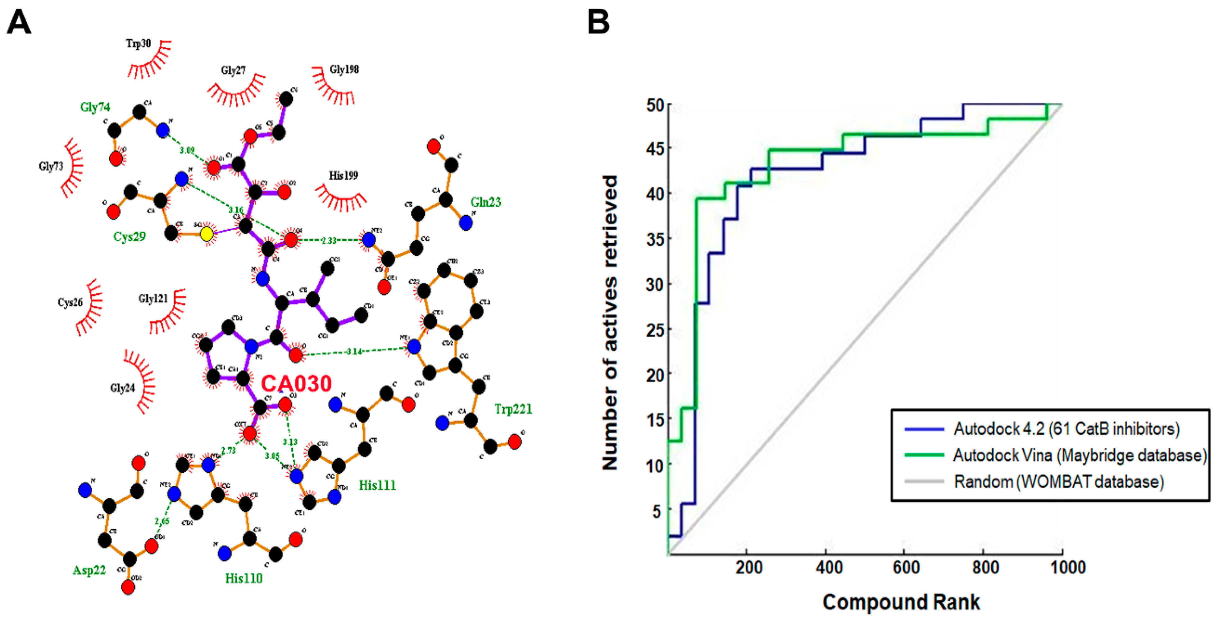 Cells 10 01946 g006 Cells 10 01946 g006