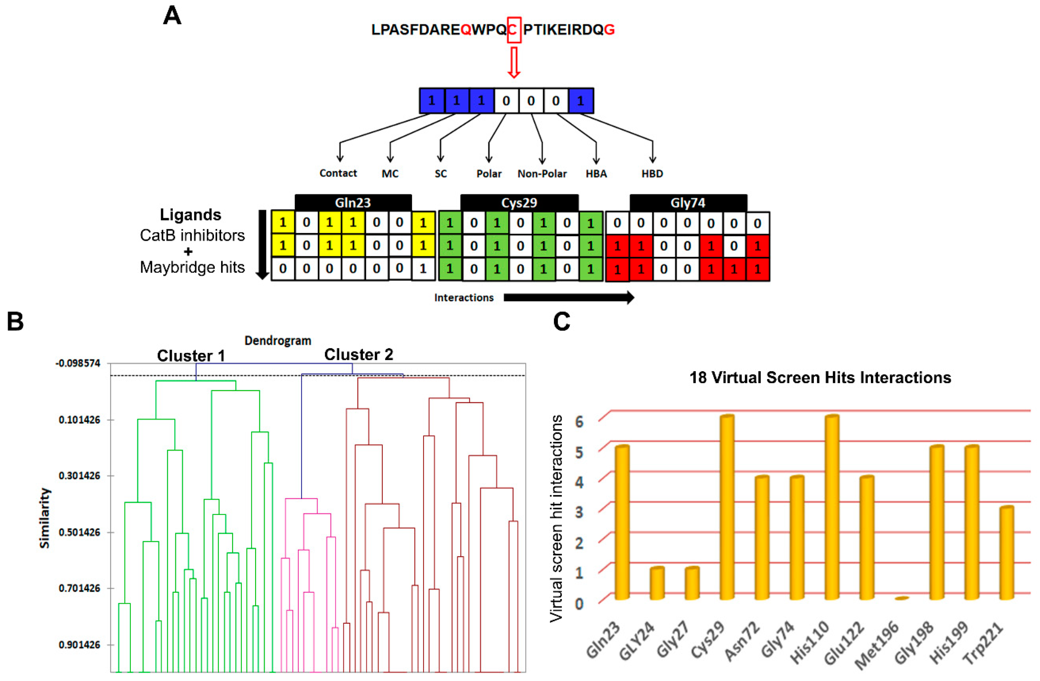 Cells 10 01946 g007 Cells 10 01946 g007