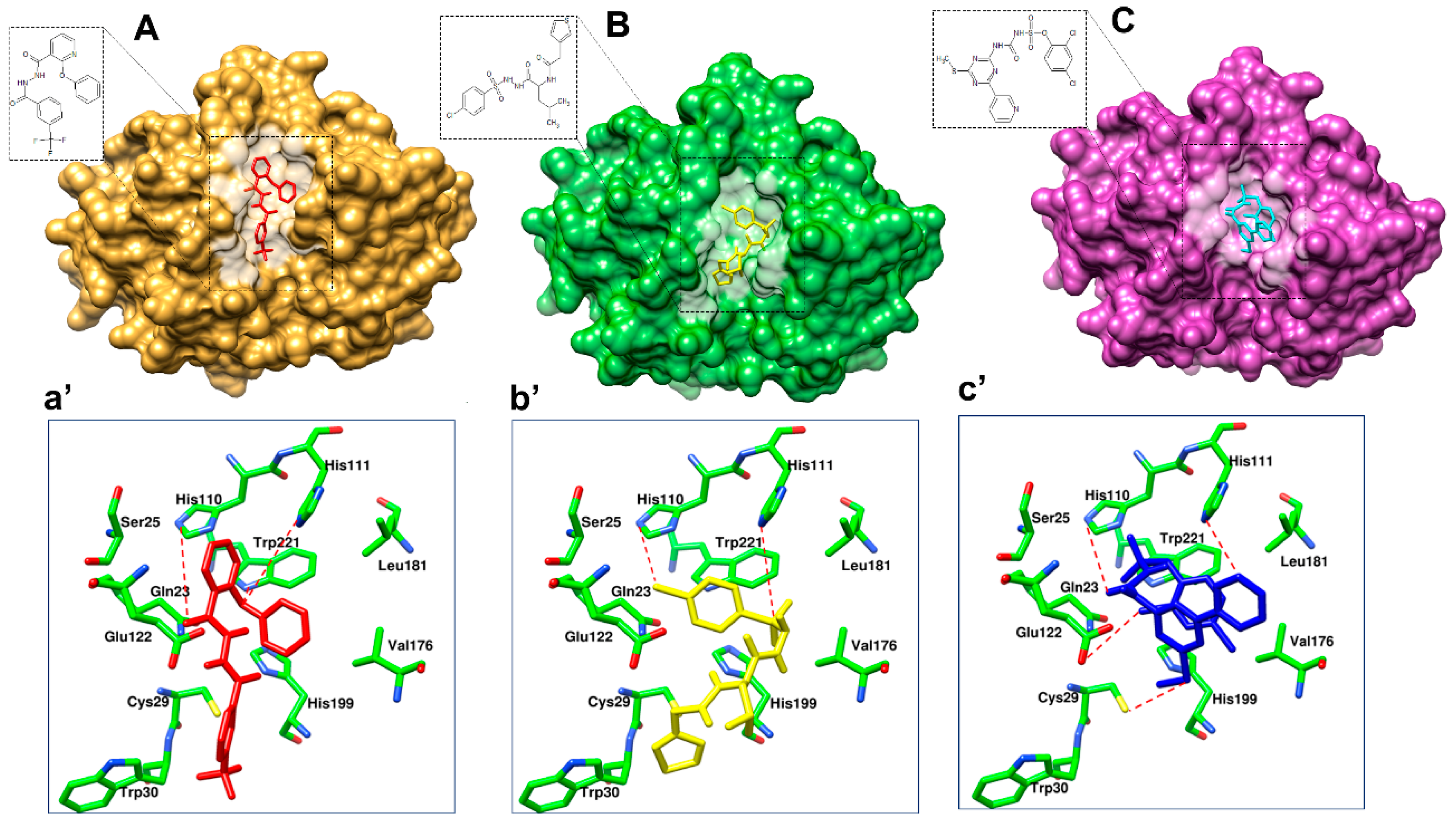 Cells 10 01946 g008 Cells 10 01946 g008