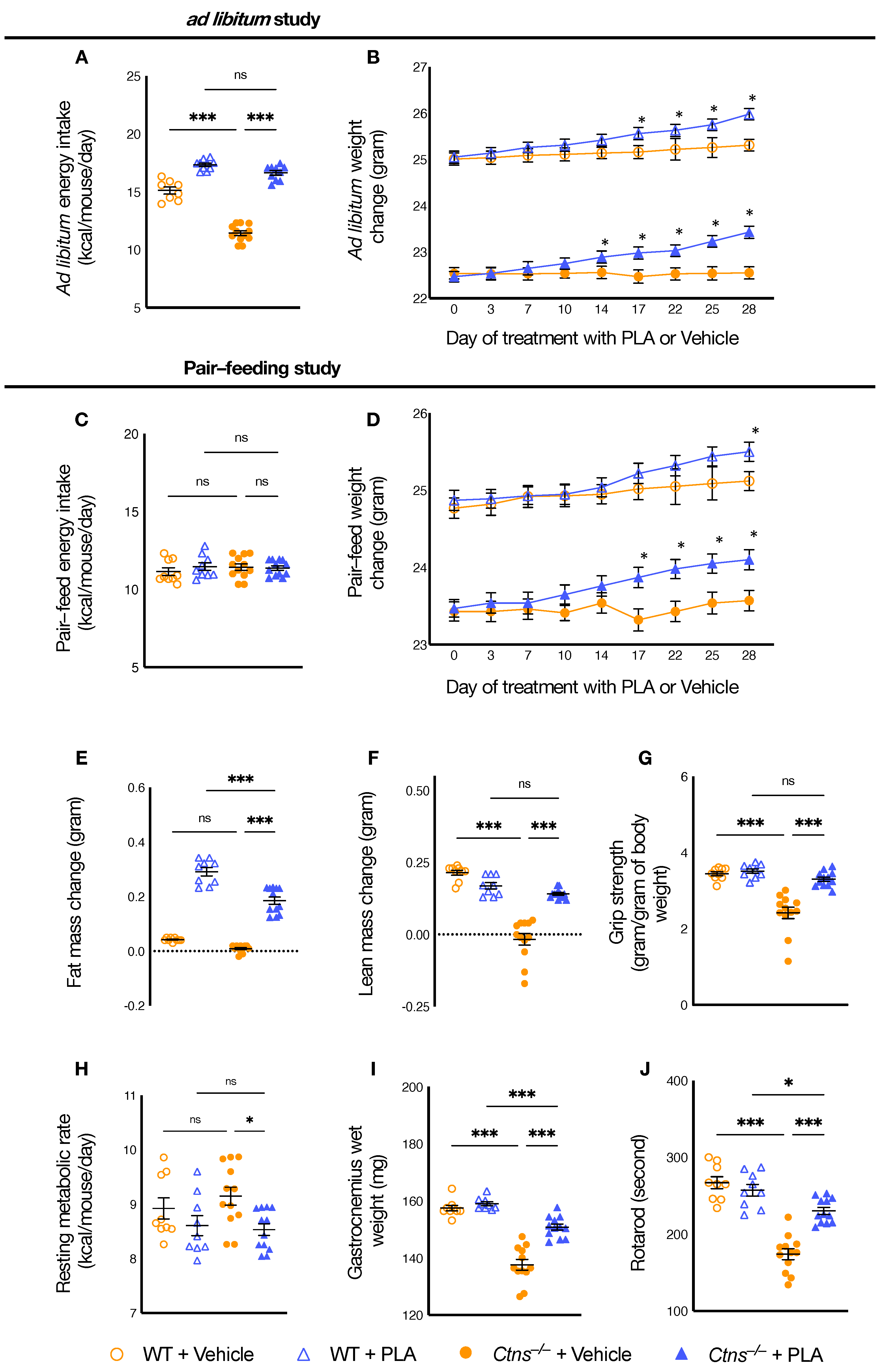 Cells 10 01954 g001 Cells 10 01954 g001