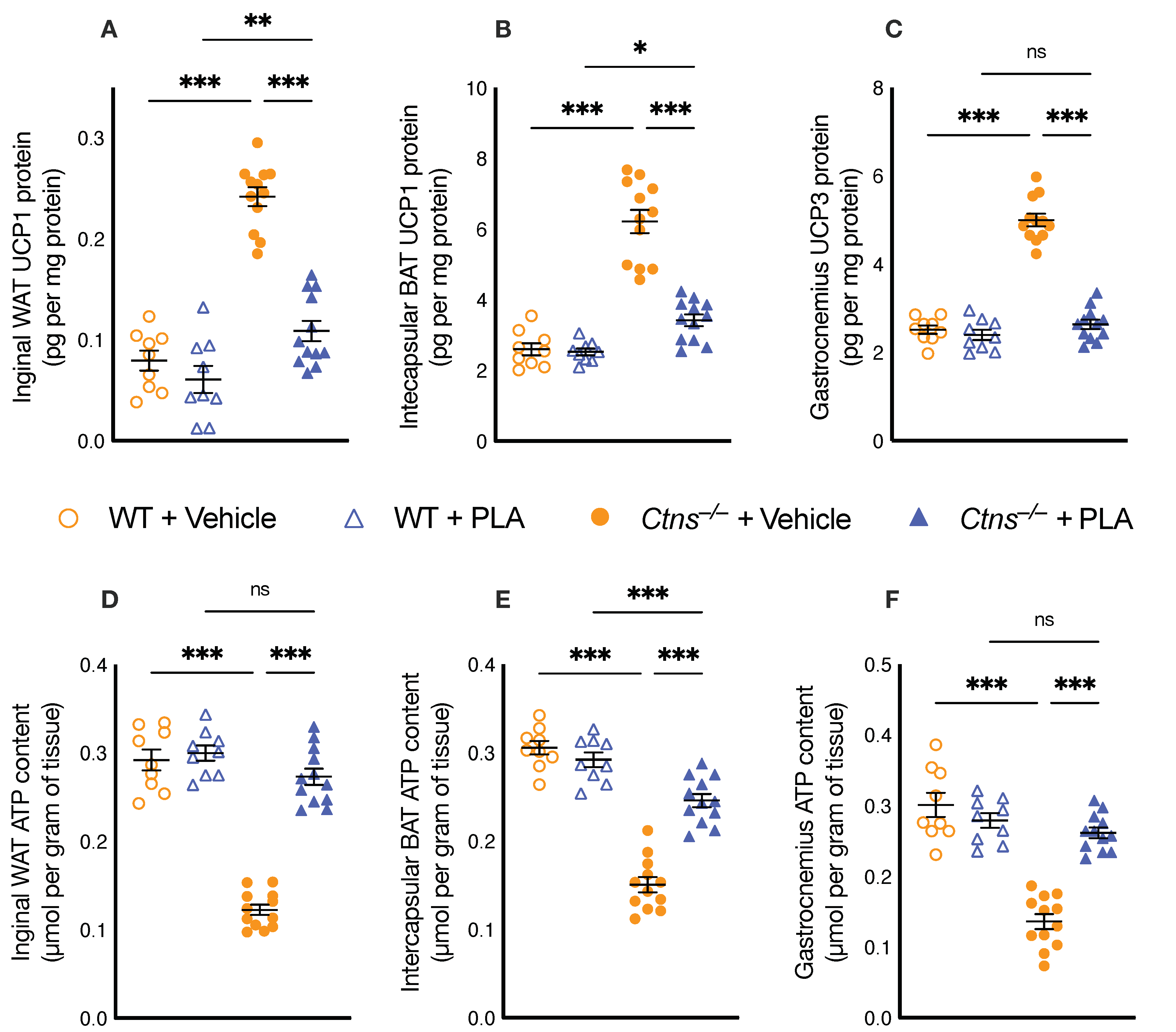 Cells 10 01954 g002 Cells 10 01954 g002