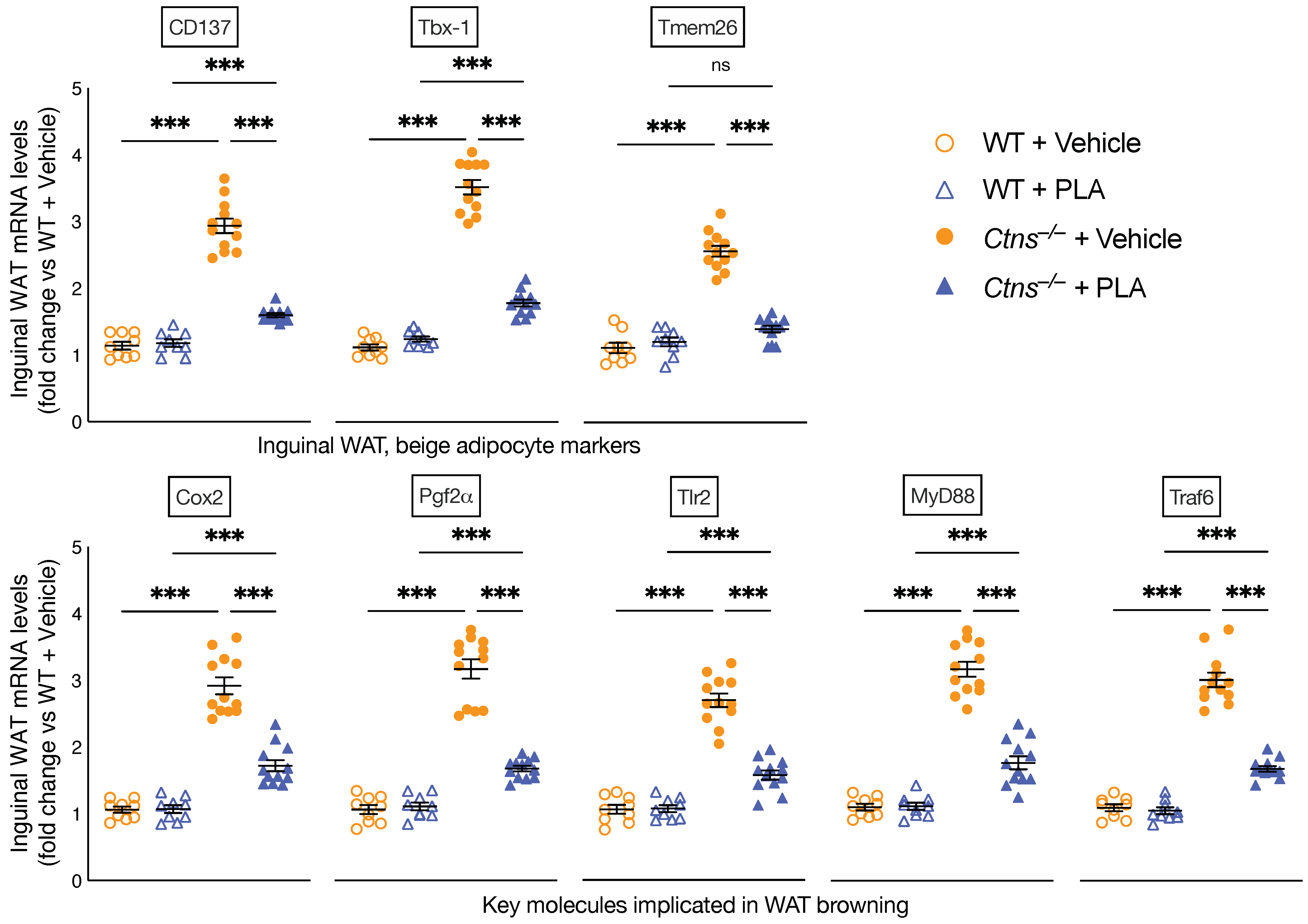Cells 10 01954 g003 Cells 10 01954 g003